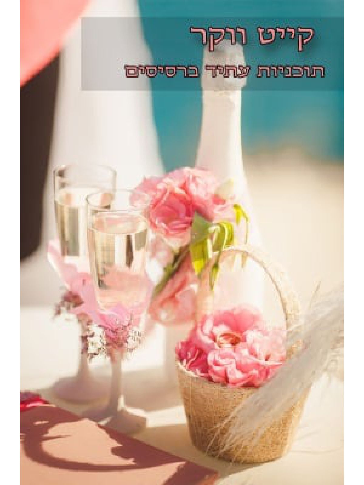 תוכניות עתיד ברסיסים