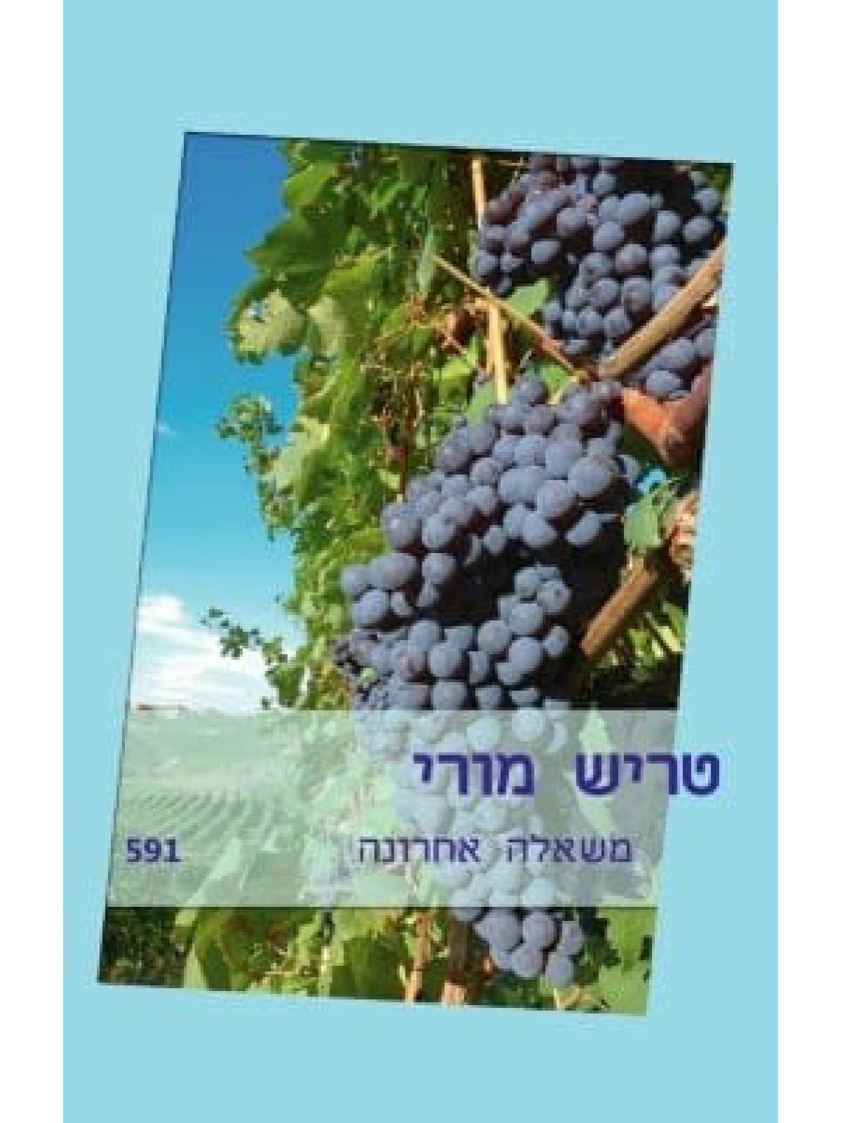 משאלה אחרונה       591