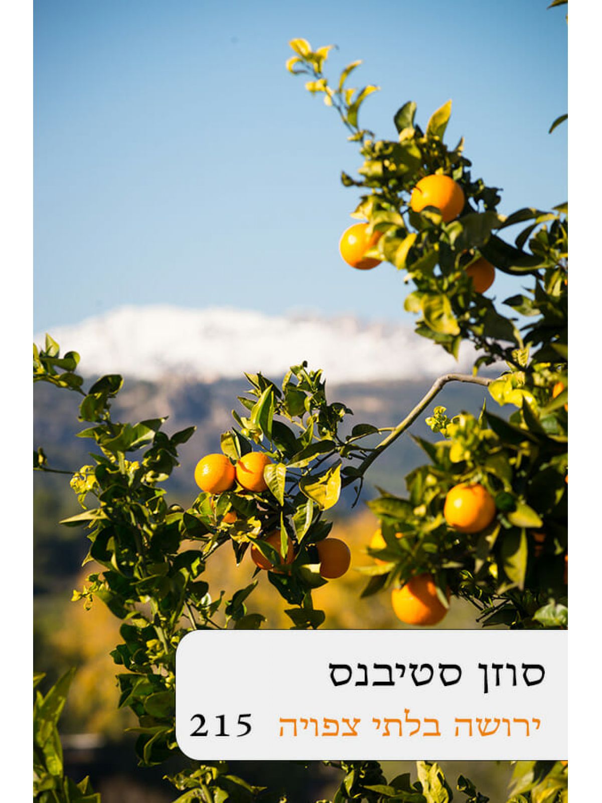 ירושה בלתי צפויה