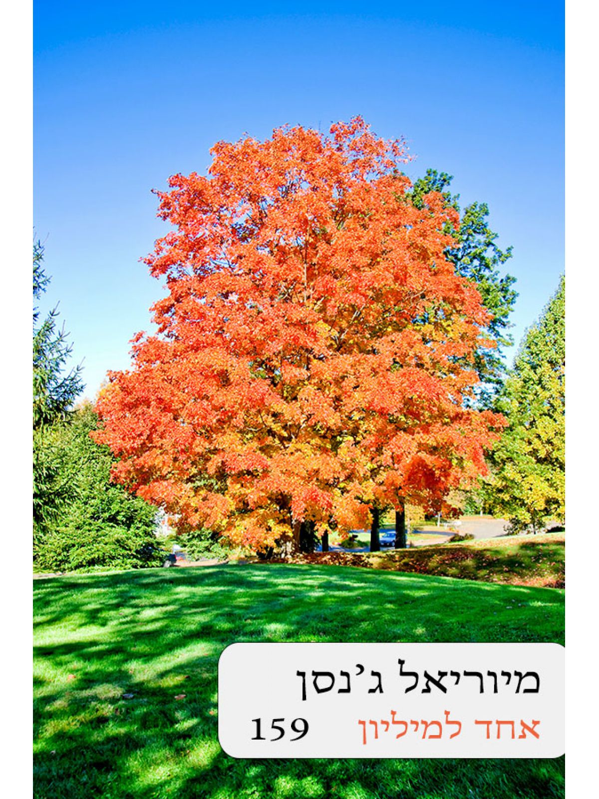 אחד למיליון