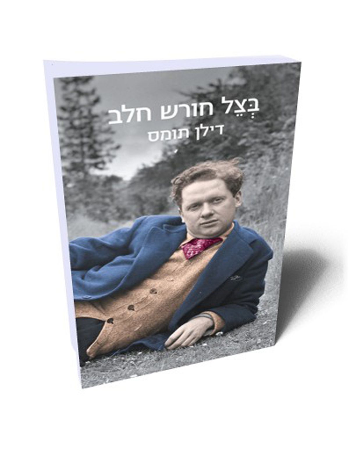 בצל חורש חלב