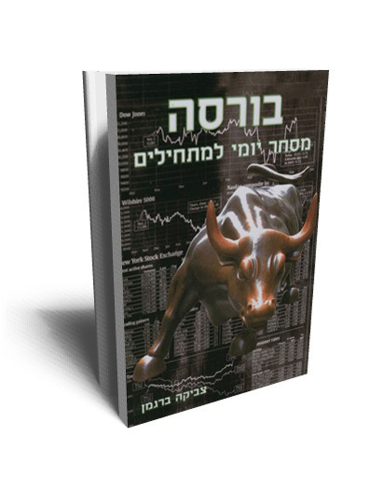 בורסה מסחר יומי למתחילים