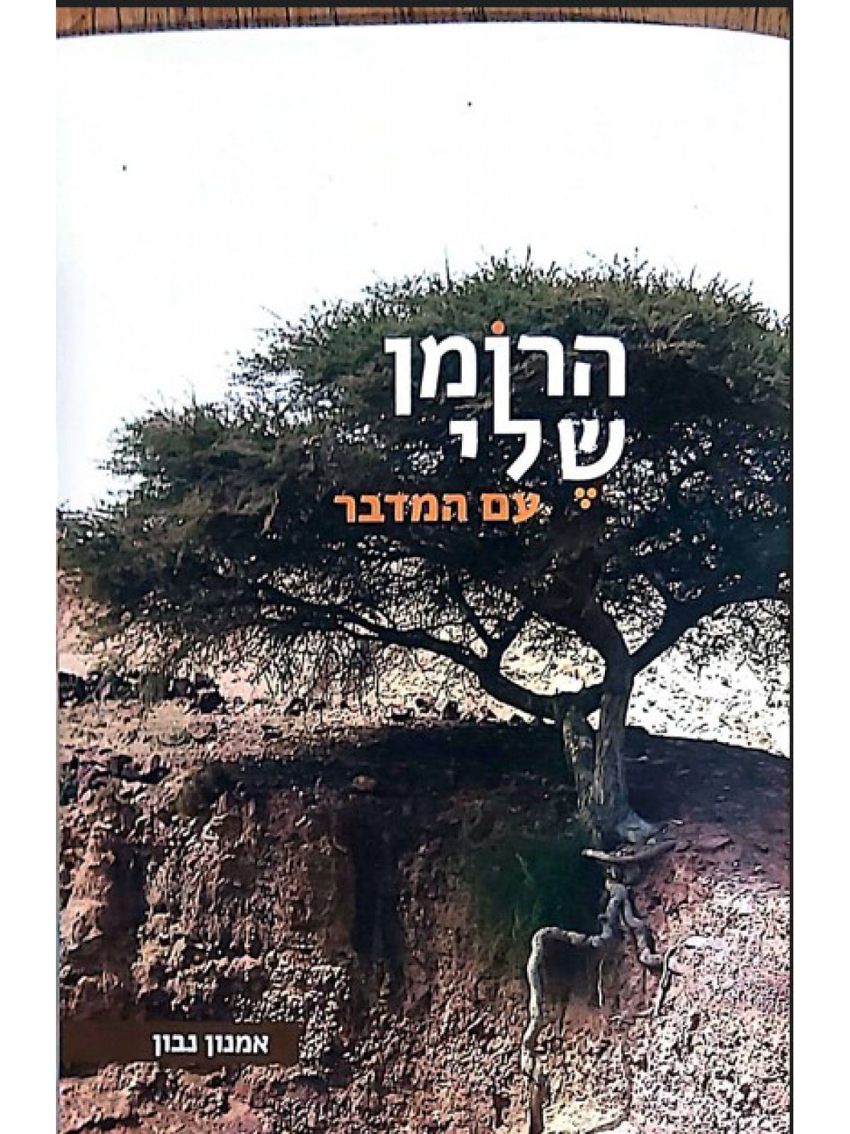 הרומן שלי עם המדבר