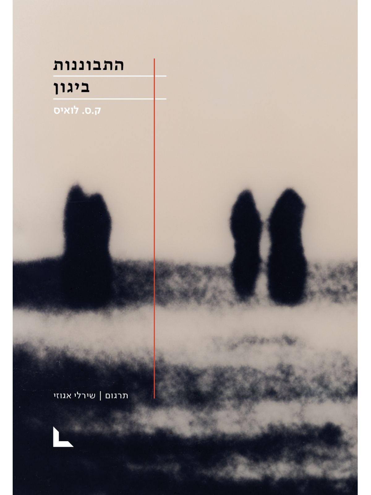 התבוננות ביגון