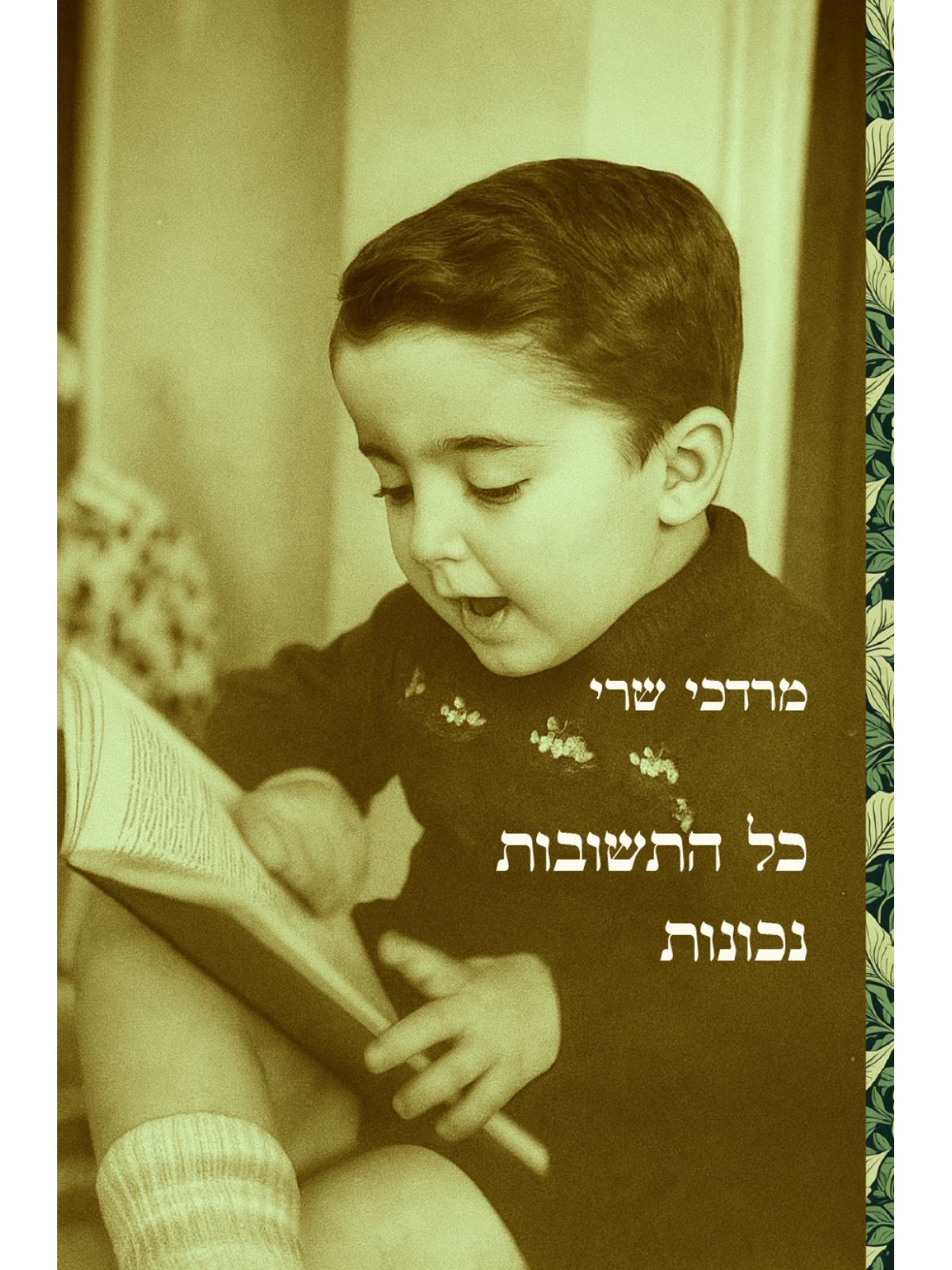 כל התשובות נכונות