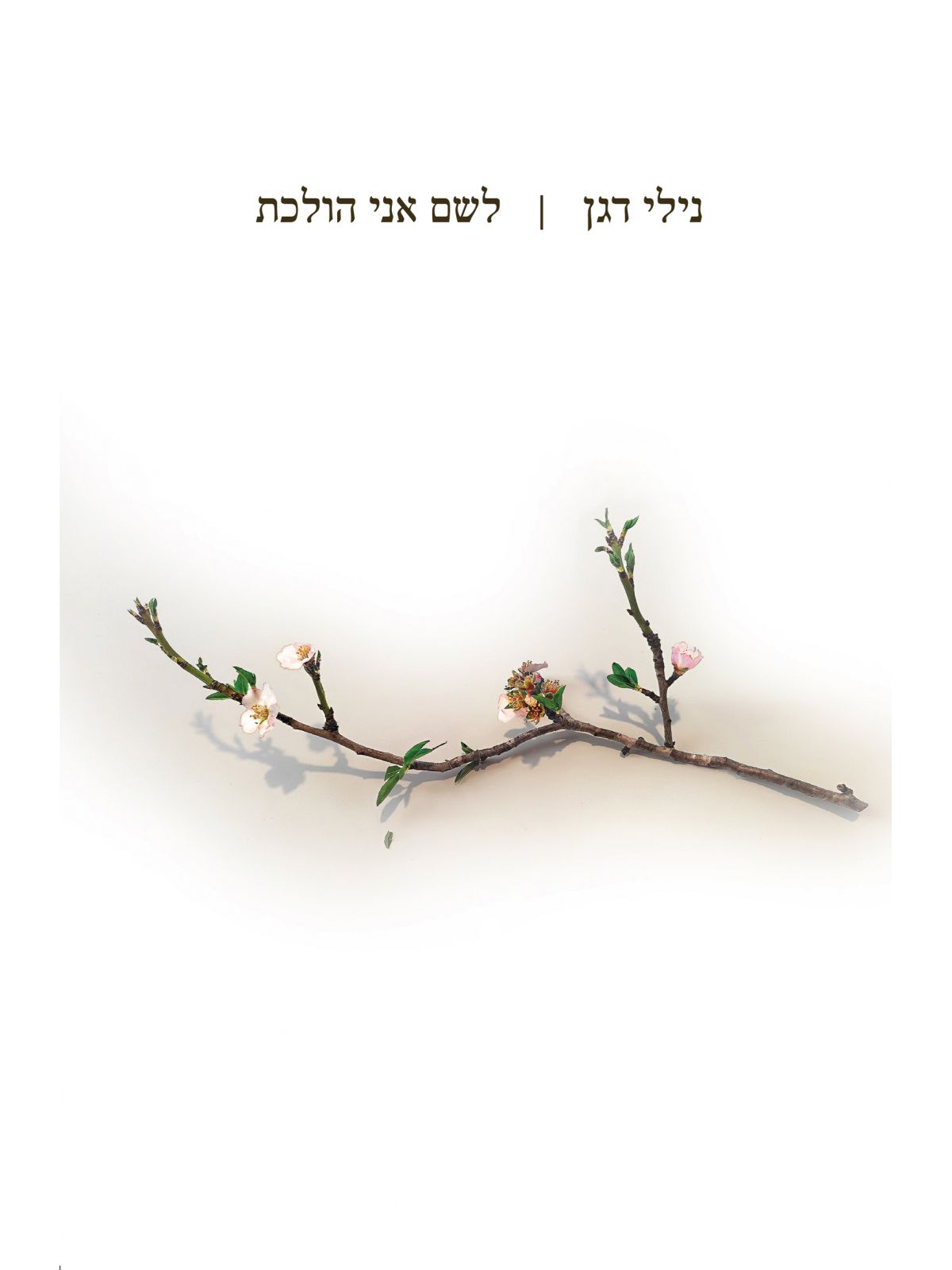 לשם אני הולכת