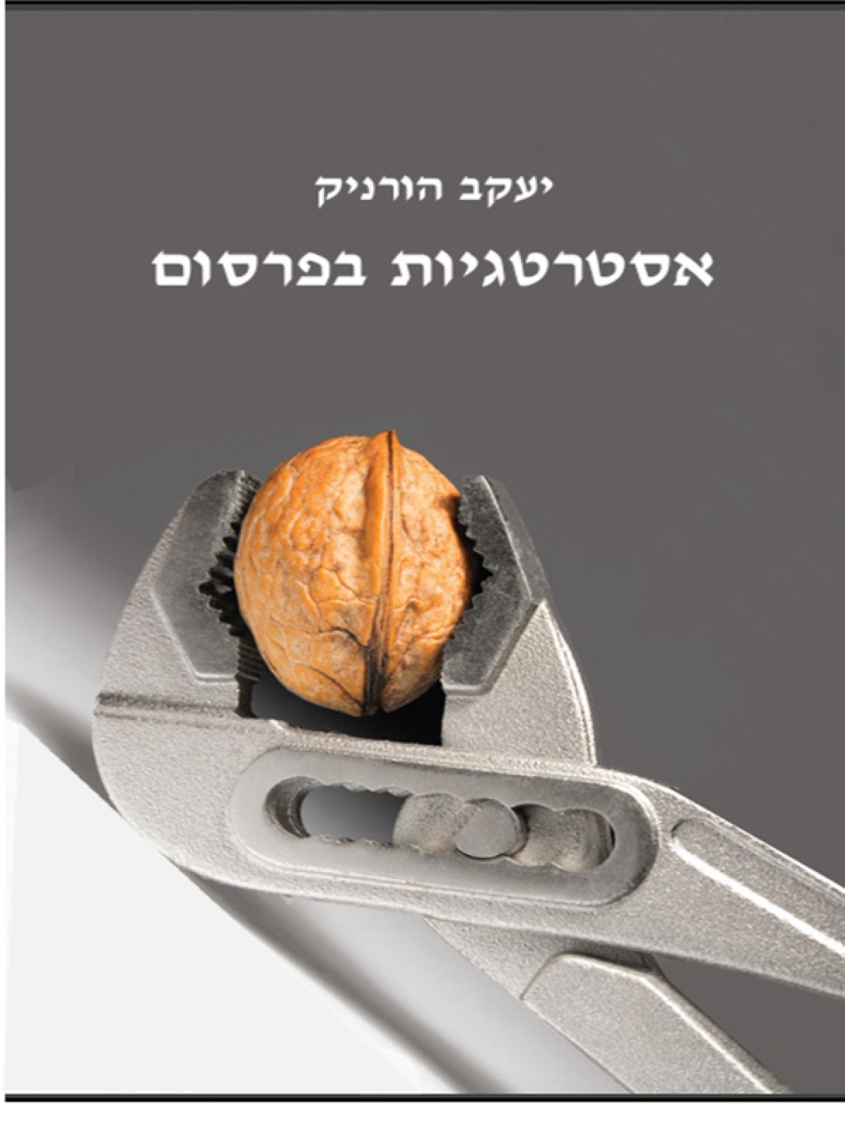 אסטרטגיות בפרסום הלכה ומעשה