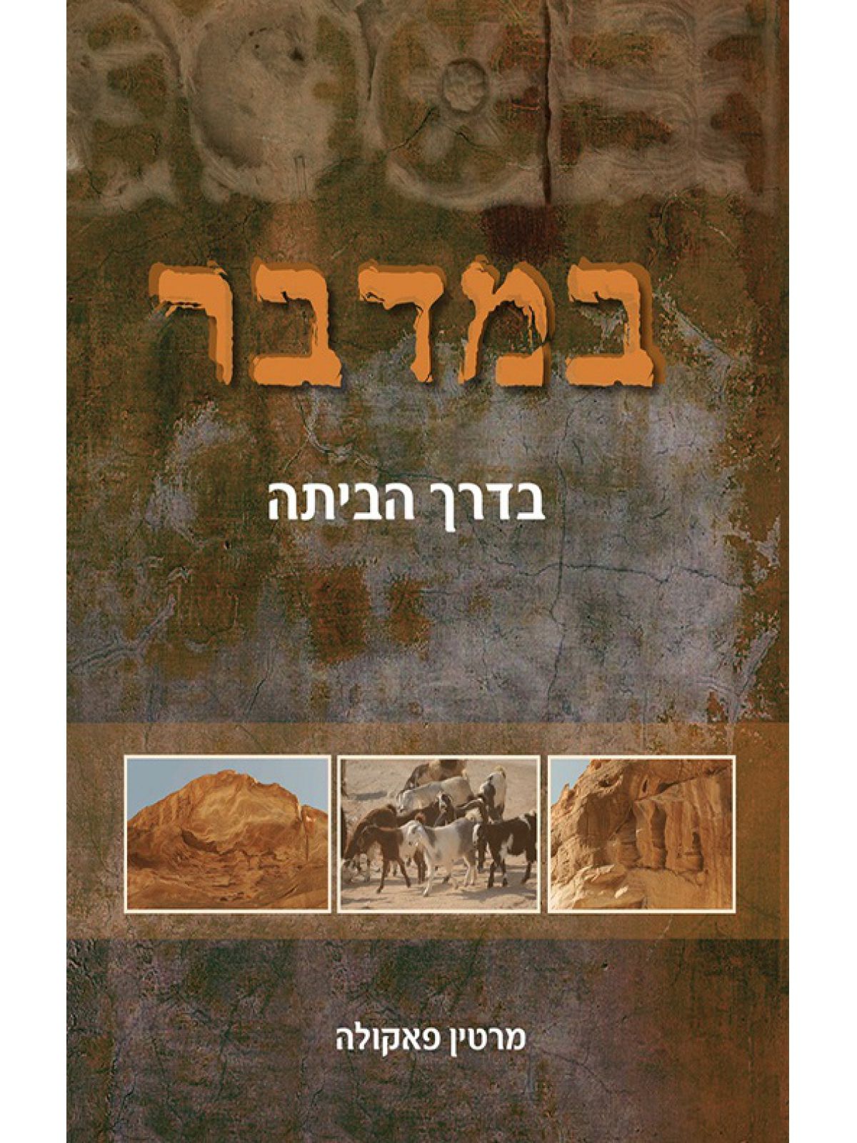 במדבר בדרך הביתה