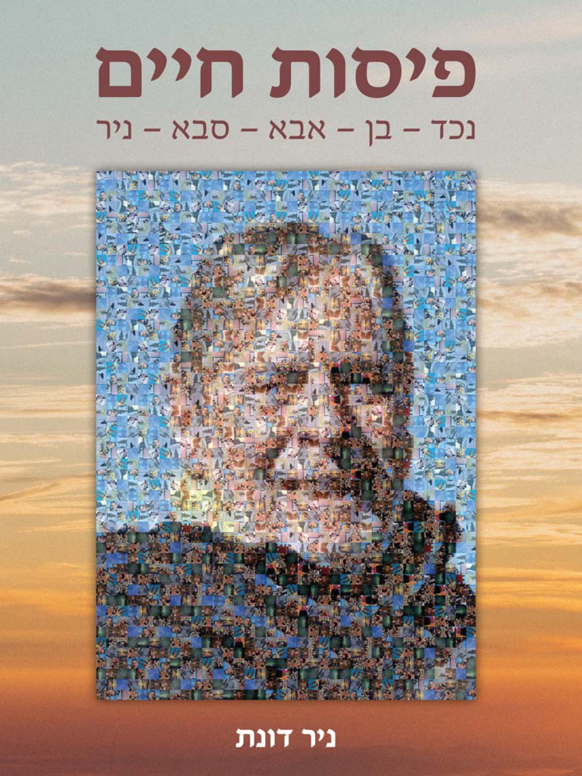 פיסות חיים