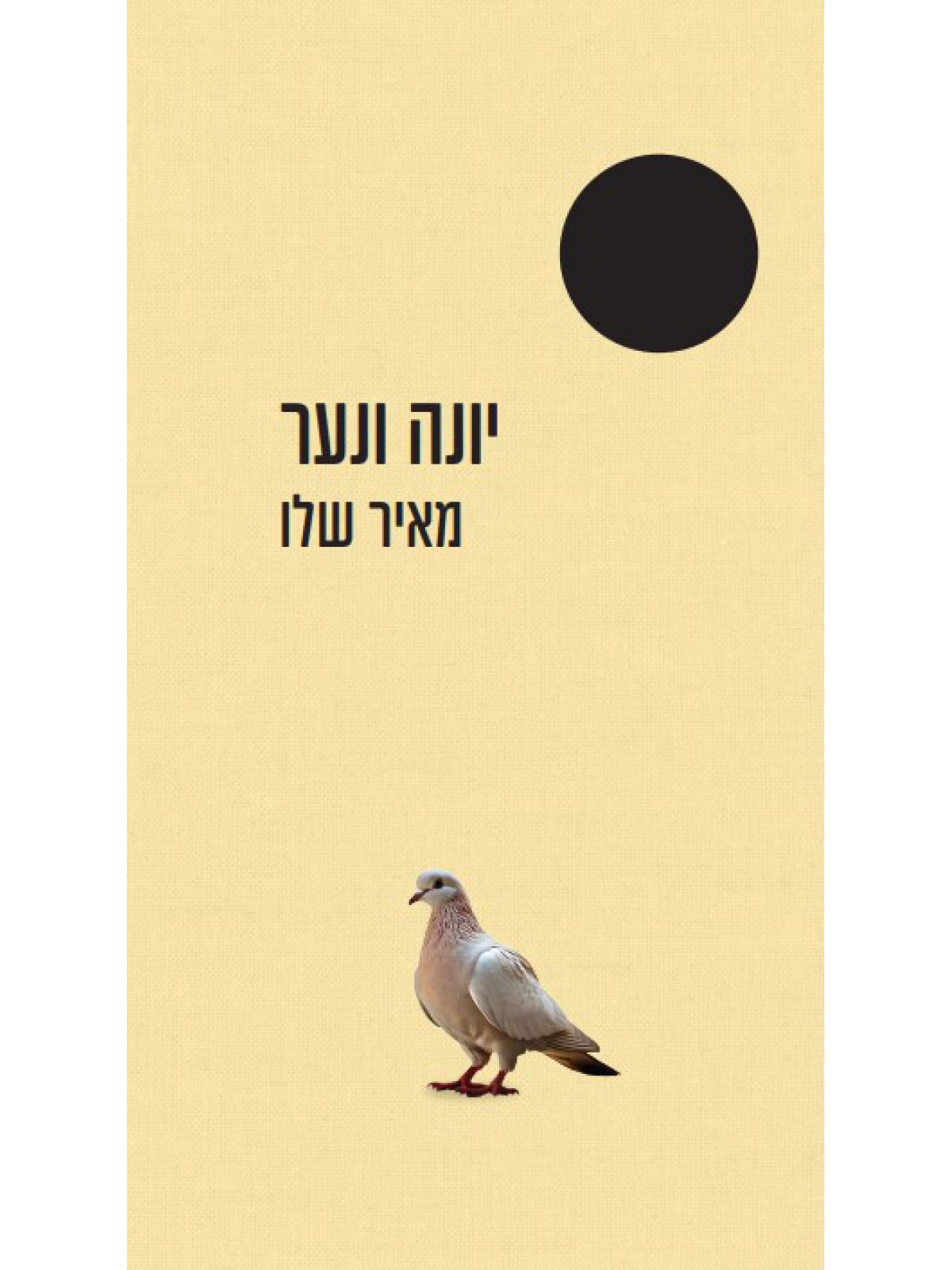 יונה ונער  נבחרי ה-100 שנה
