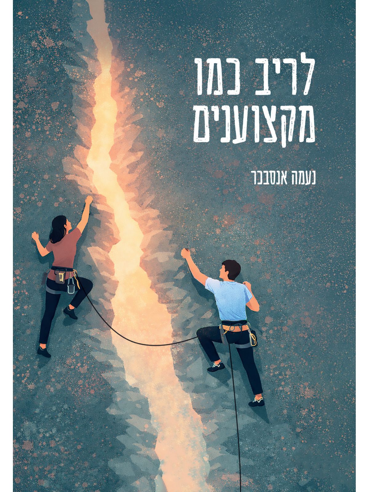 לריב כמו מקצוענים