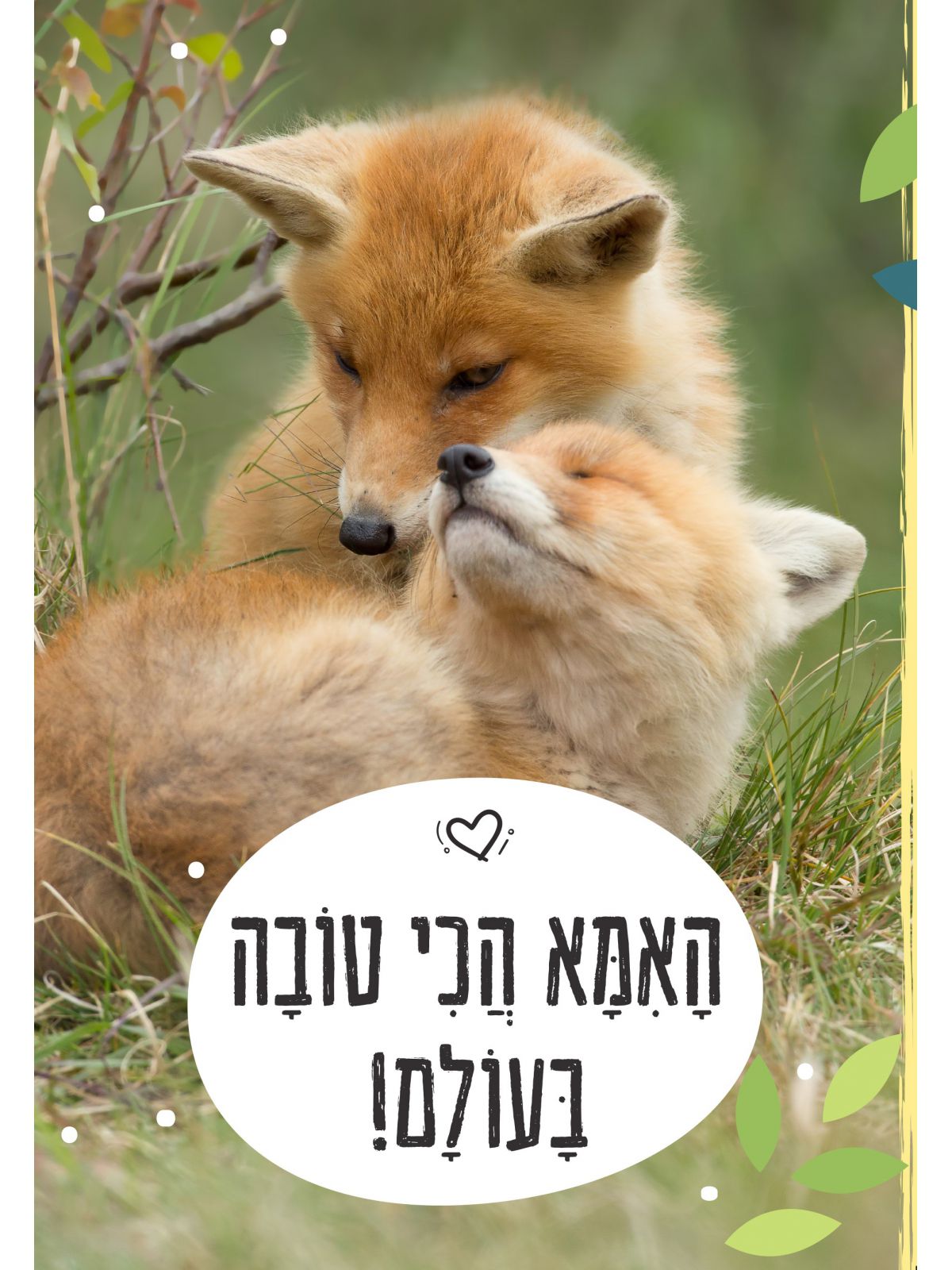 האמא הכי טובה בעולם! דפים עבים