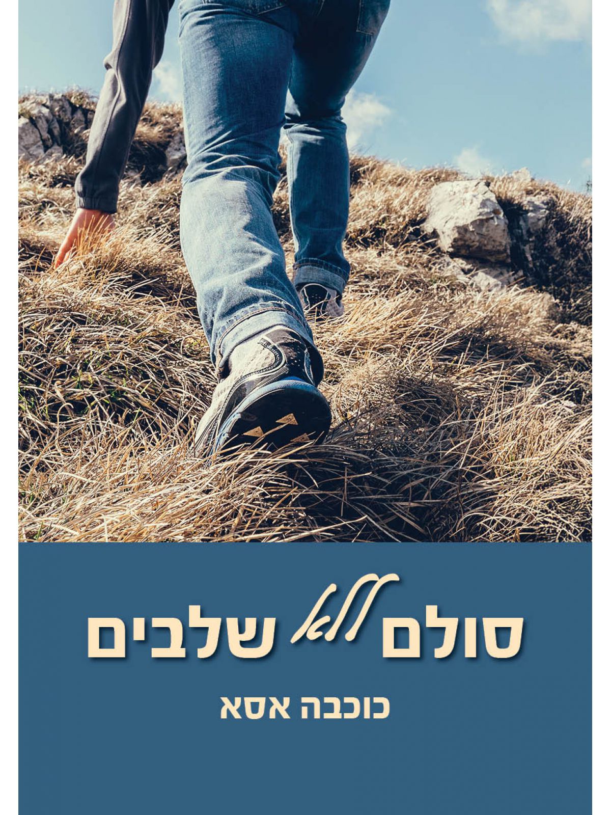 סולם ללא שלבים