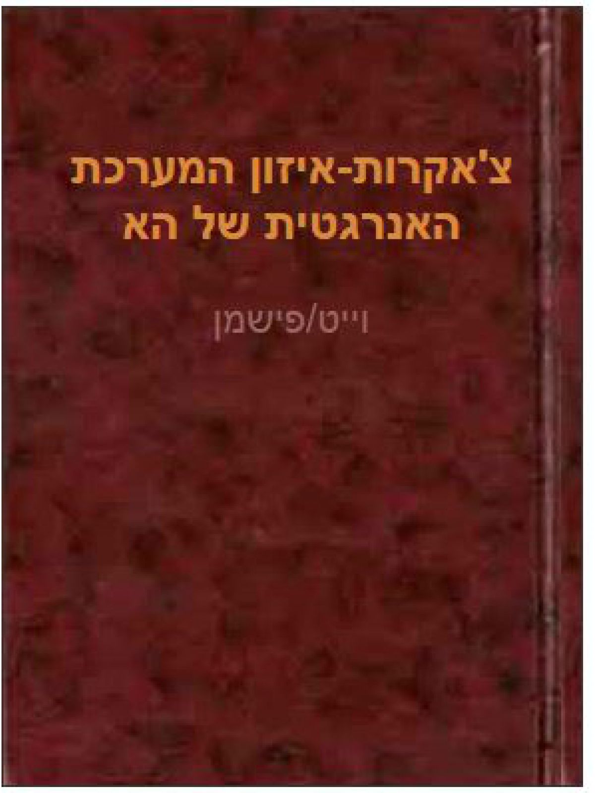 צ’אקרות-איזון המערכת האנרגטית של הא