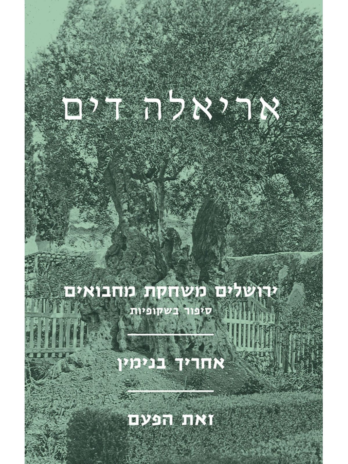 ירושלים משחקת מחבואים