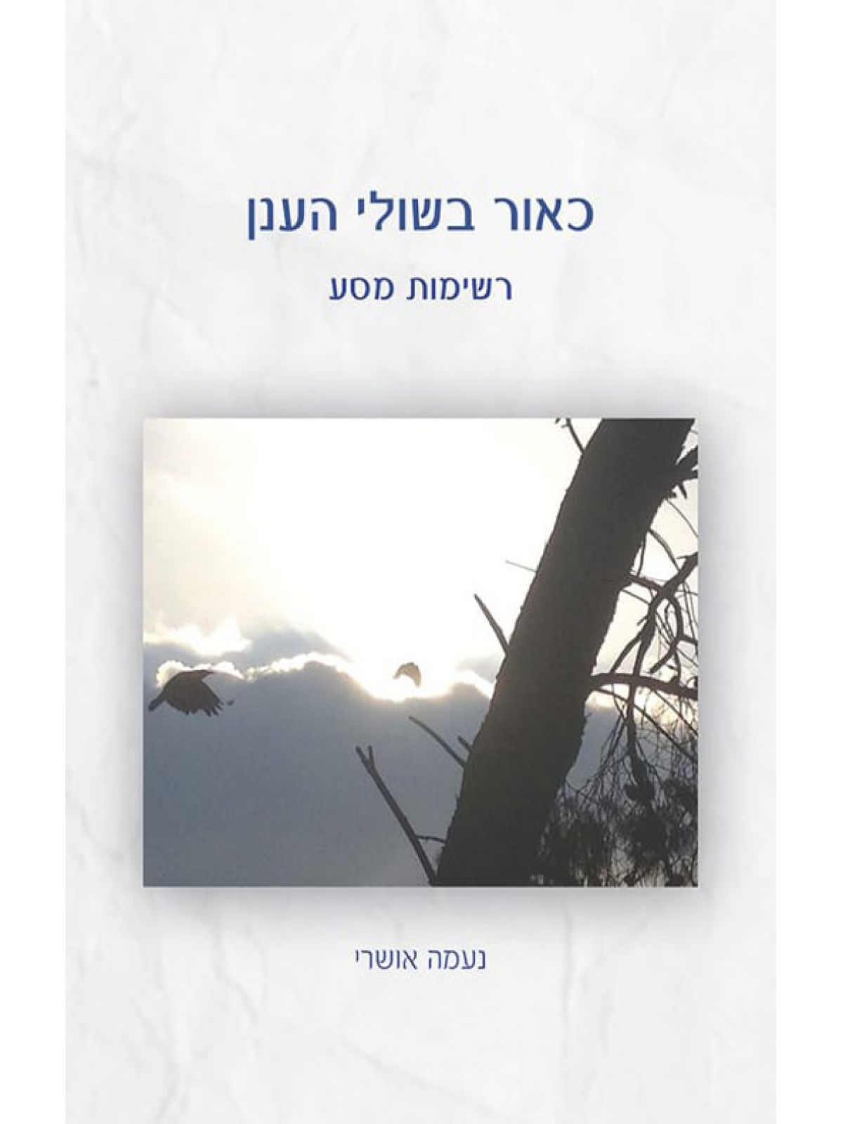 כאור בשולי הענן