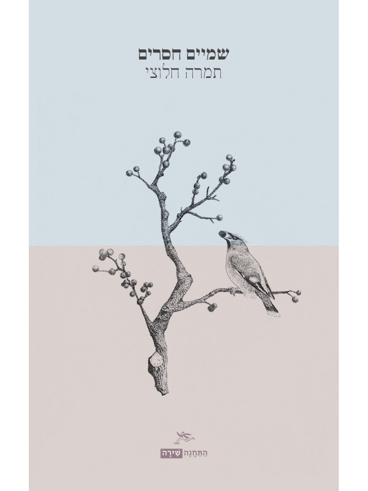 שמיים חסרים