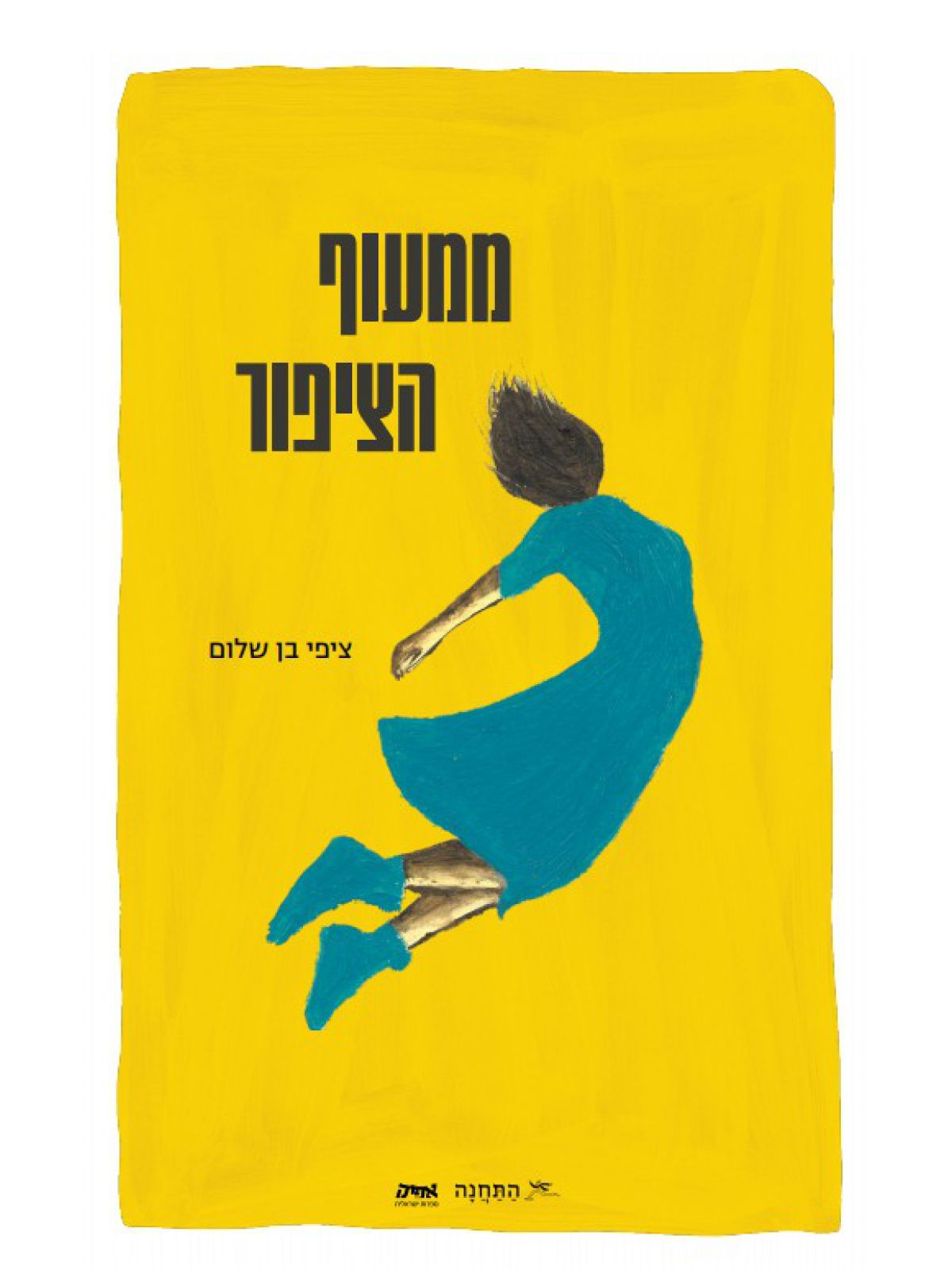ממעוף הציפור
