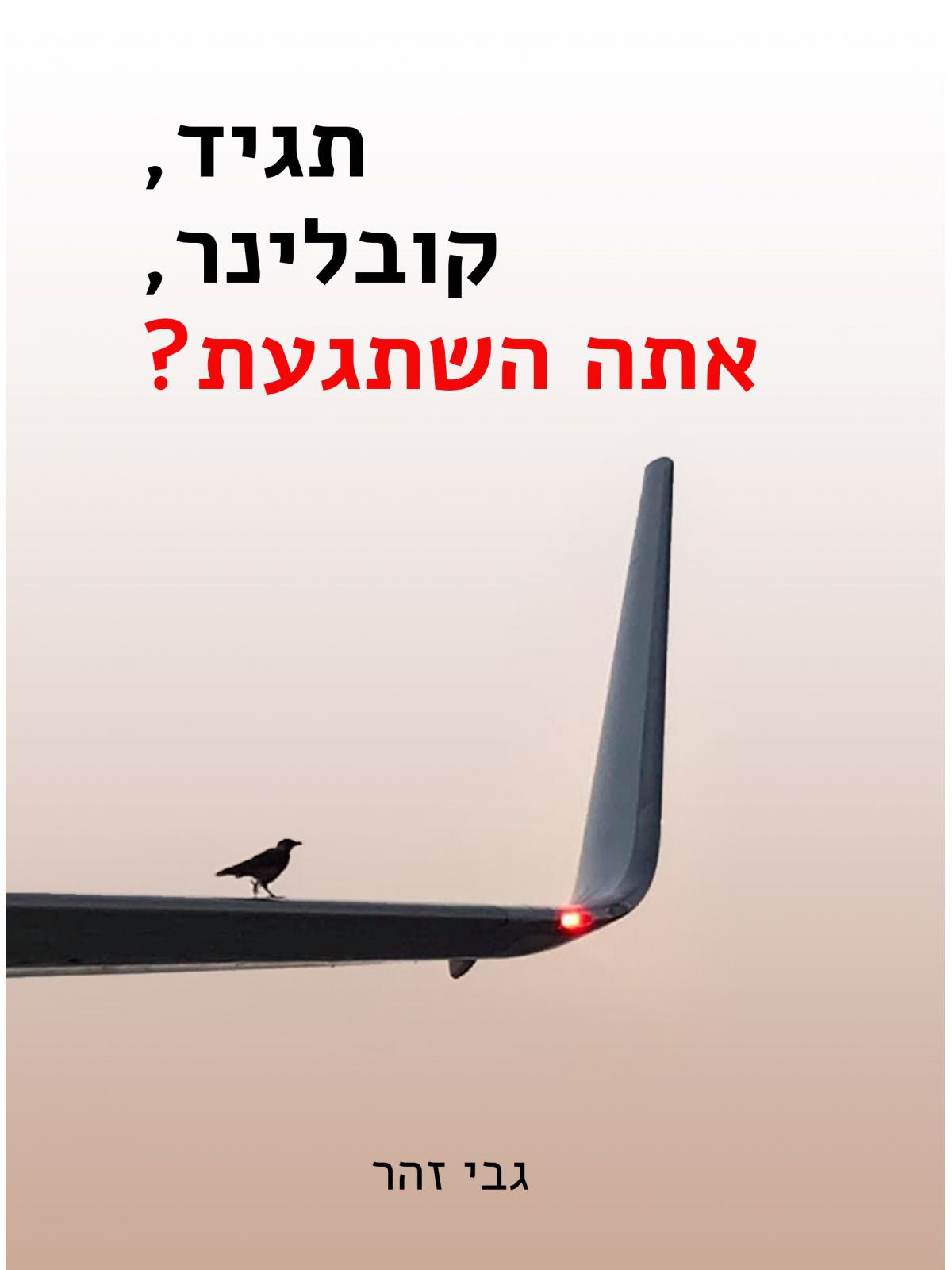 תגיד קובלינר את השתגעת