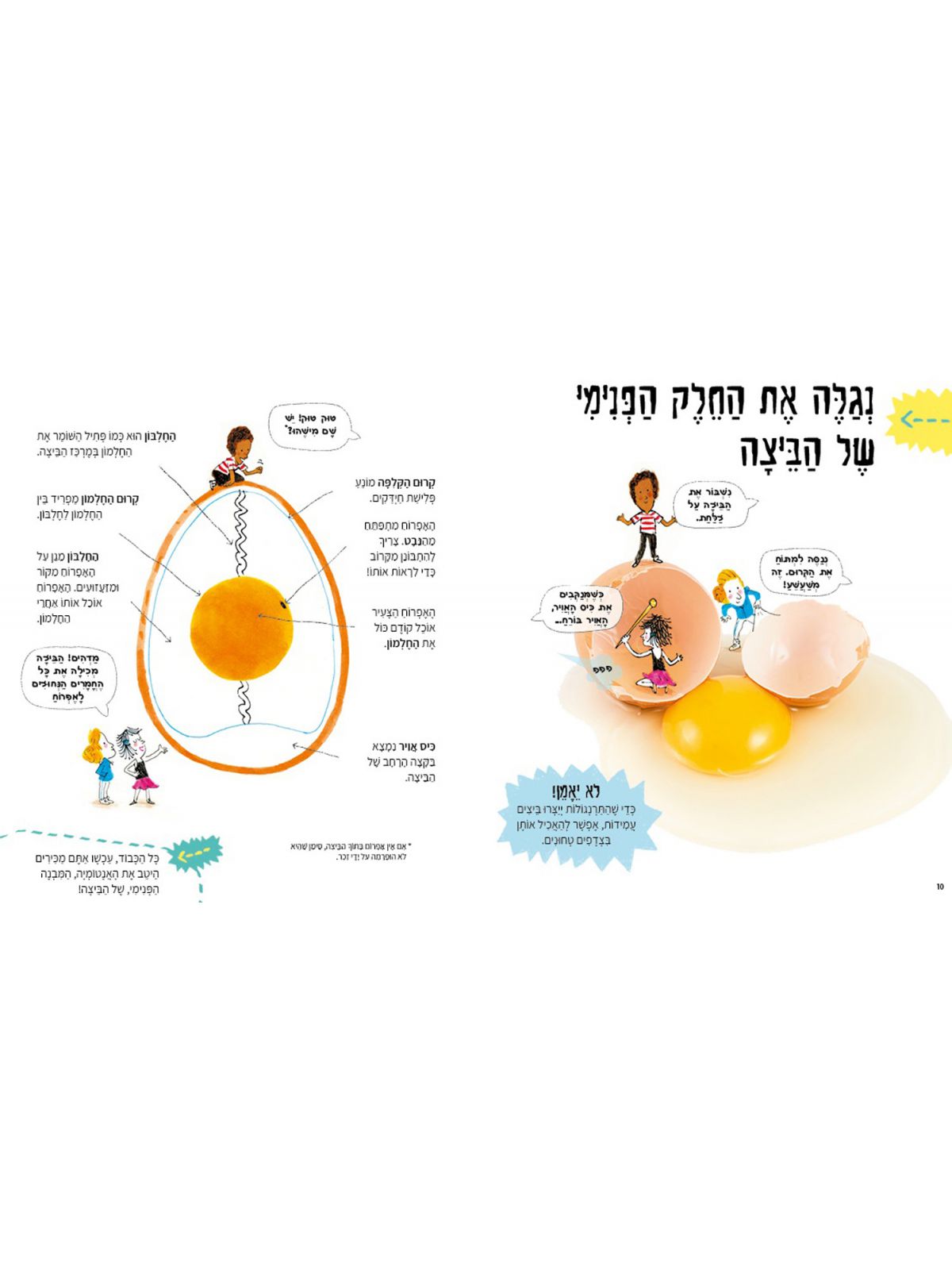 המדע על פי הביצה