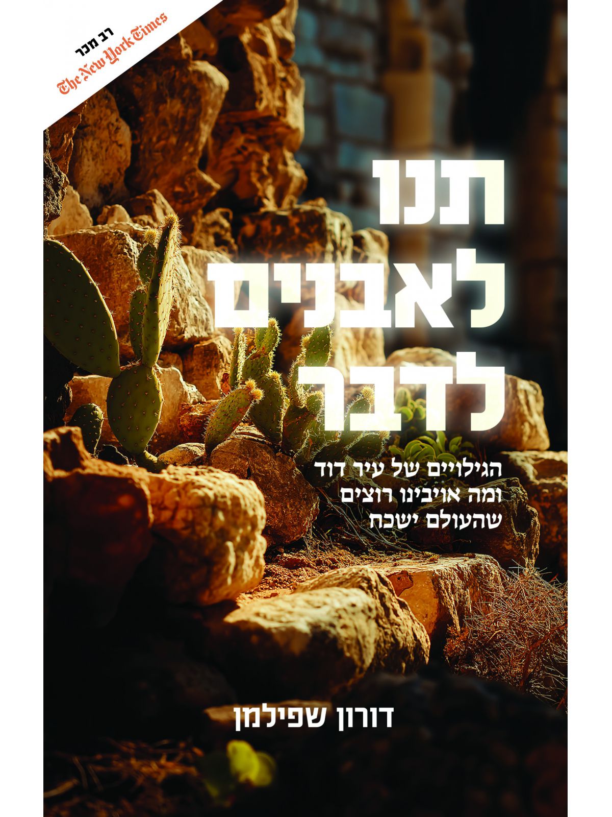 תנו לאבנים לדבר