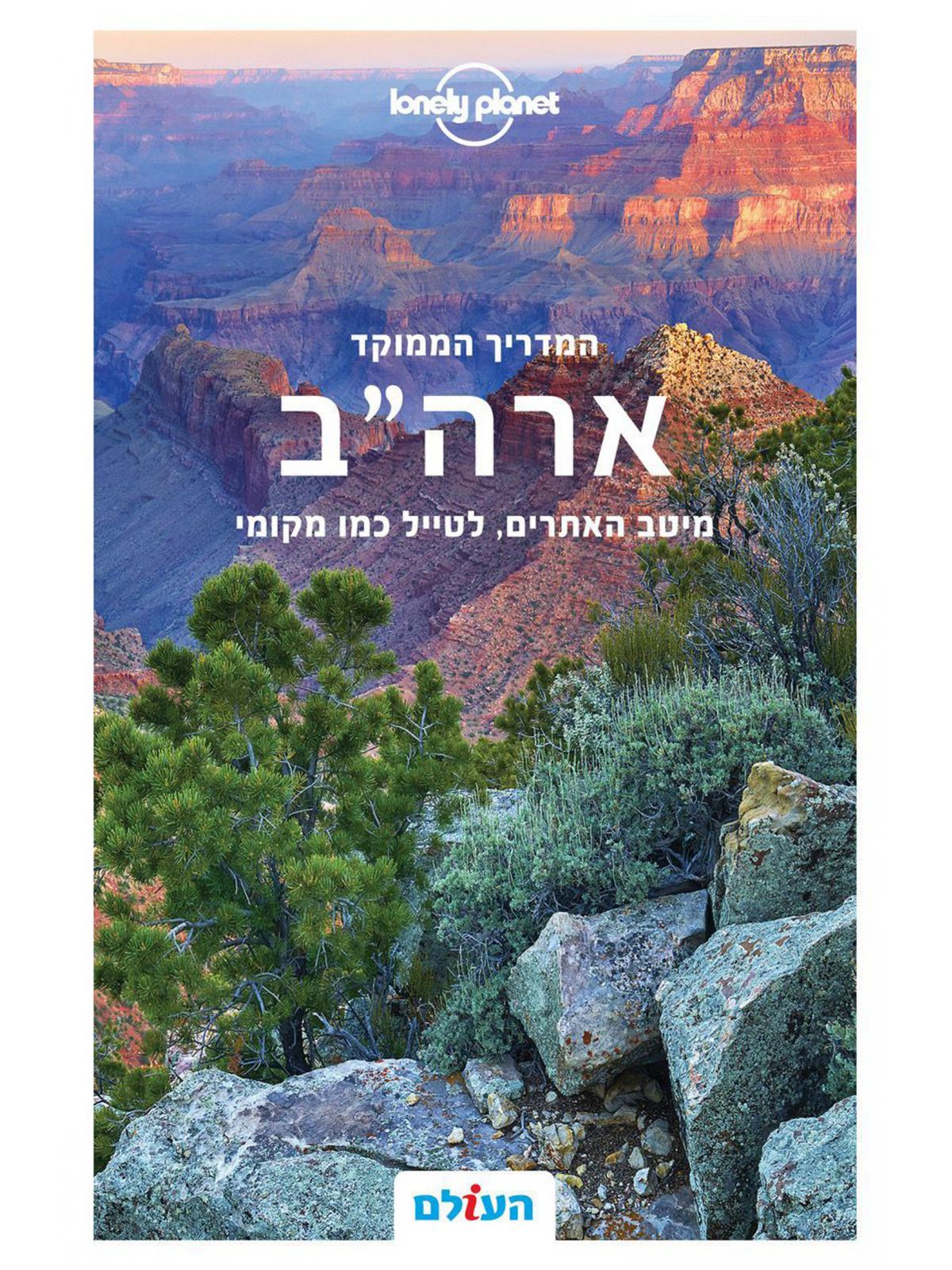 ארה״ב ממוקד