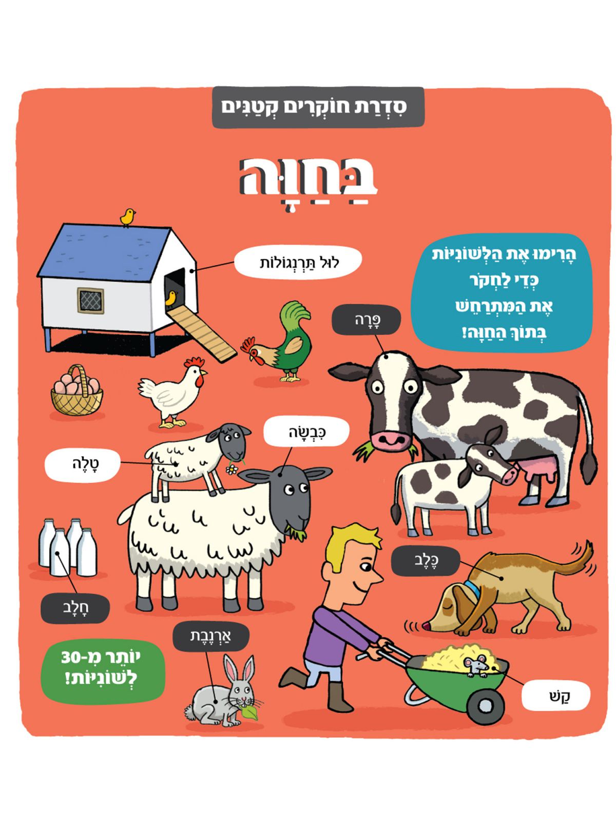 בחוה סדרת חוקרים קטנים