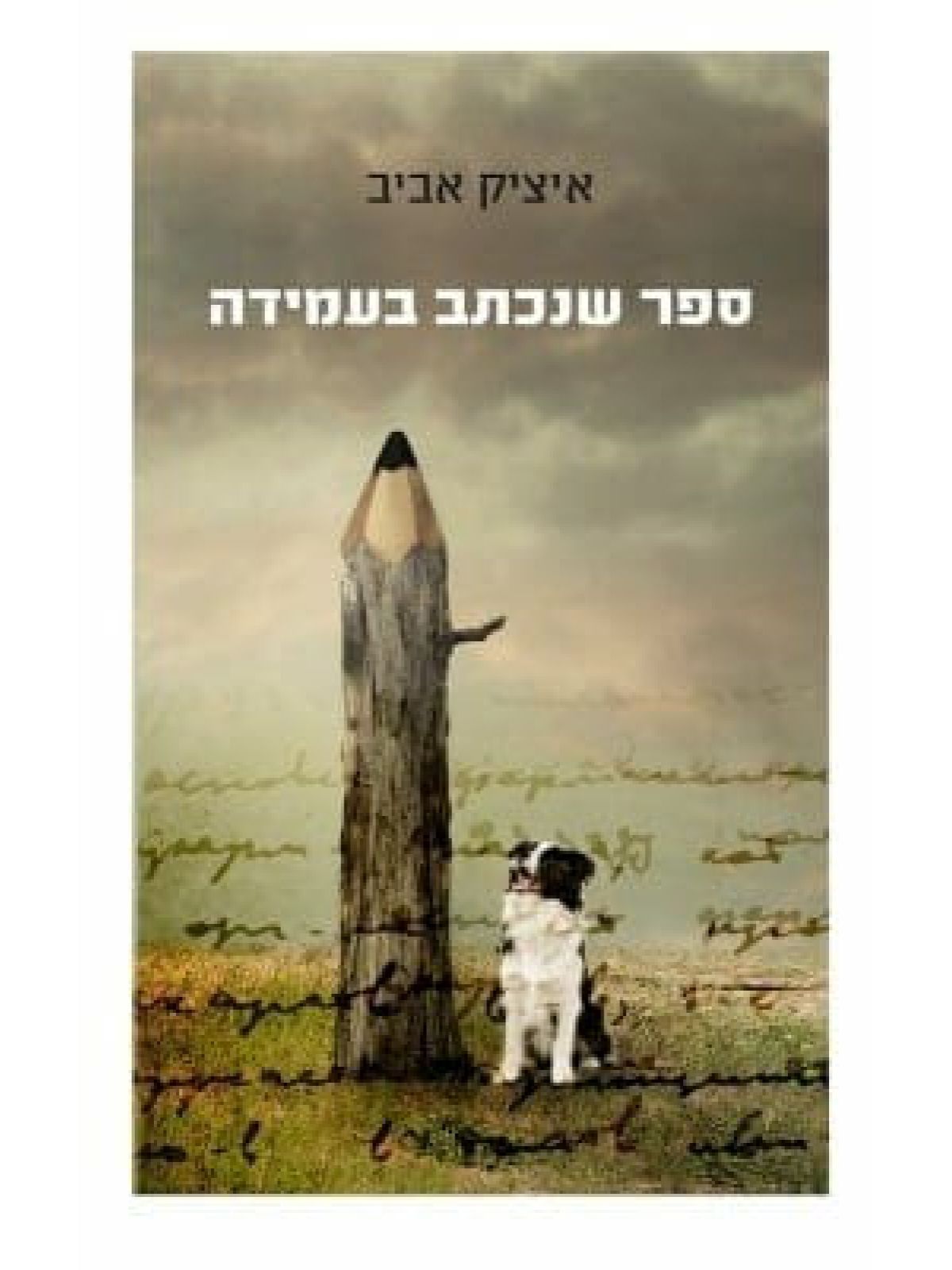 ספר שנכתב בעמידה