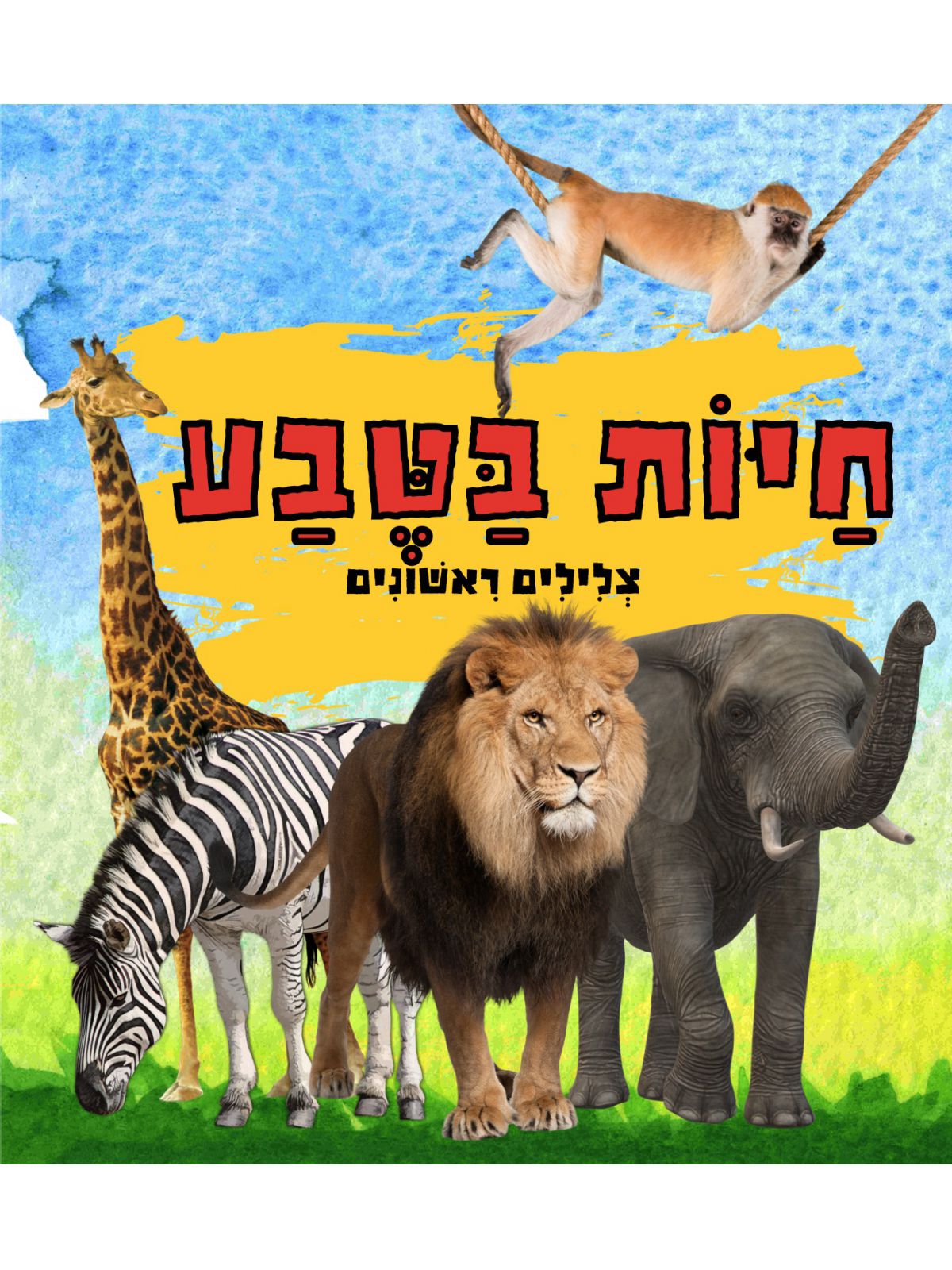 צלילים ראשונים חיות בטבע