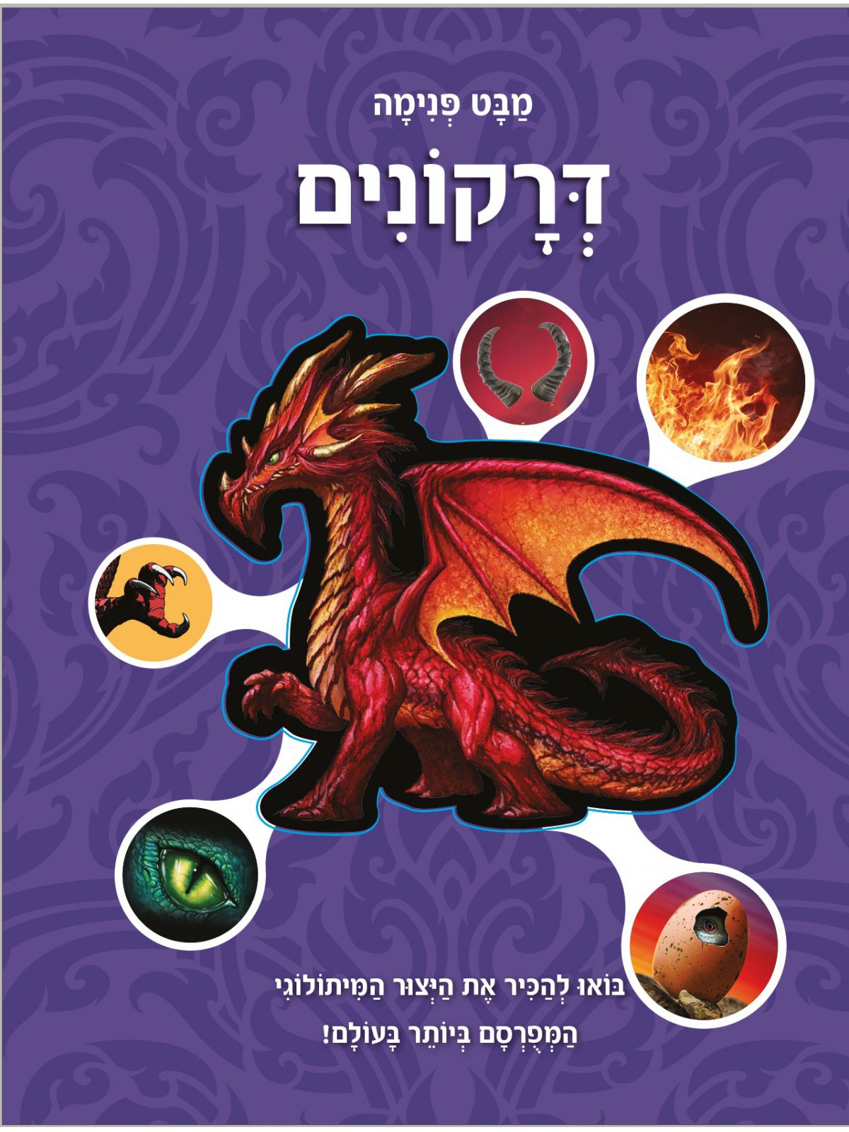 מבט פנימה דרקונים