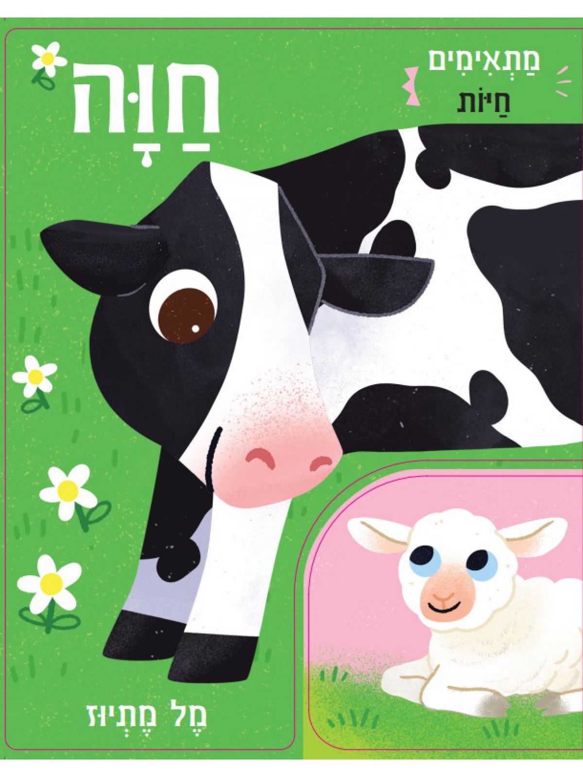 מתאימים חיות- חוה