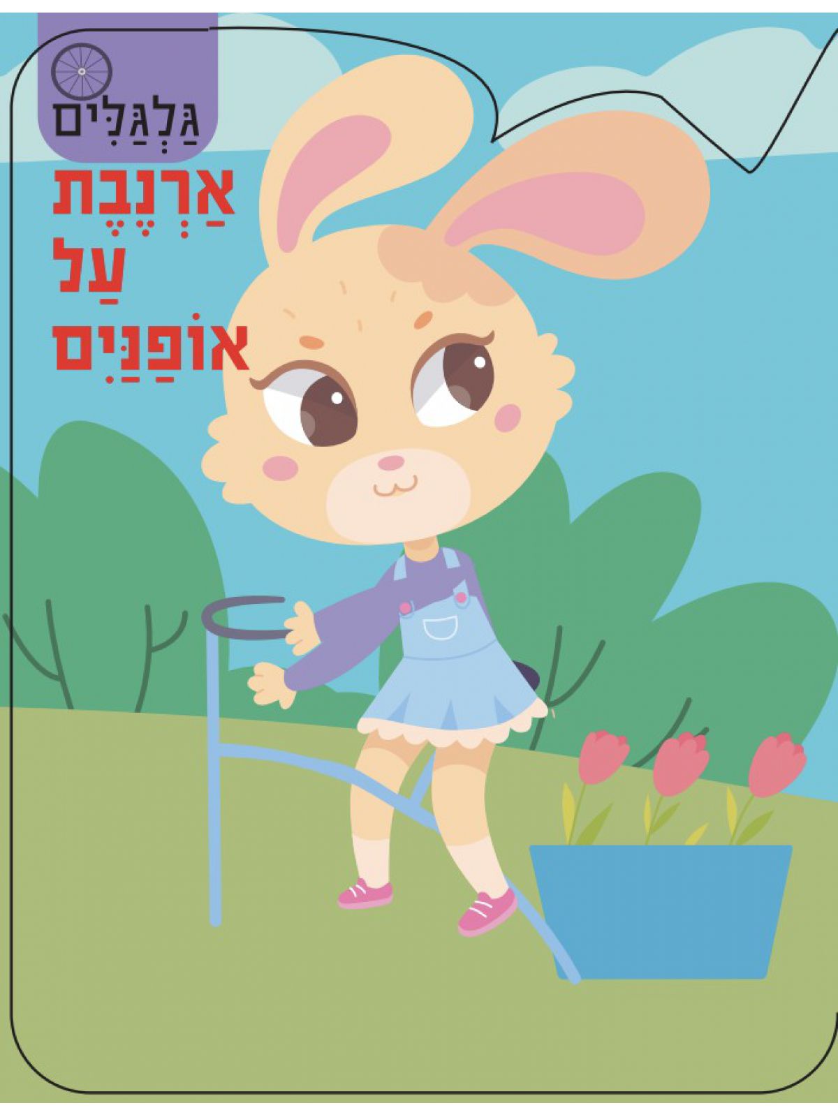 גלגלים- ארנבת על אופנים