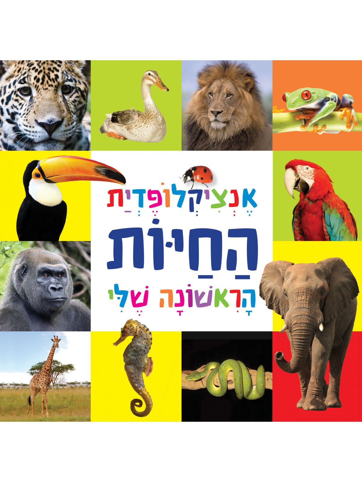 אנציקלופדית החיות הראשונה שלי -גודל מוקטן