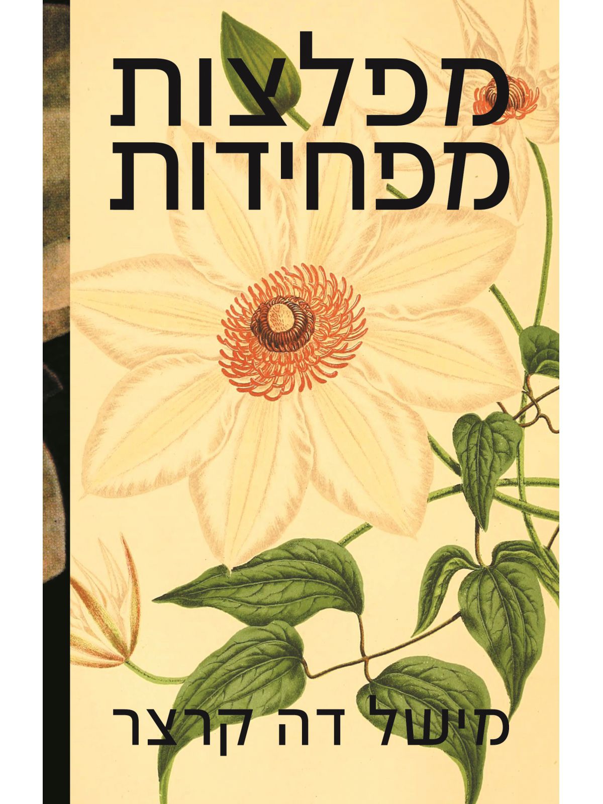 מפלצות מפחידות