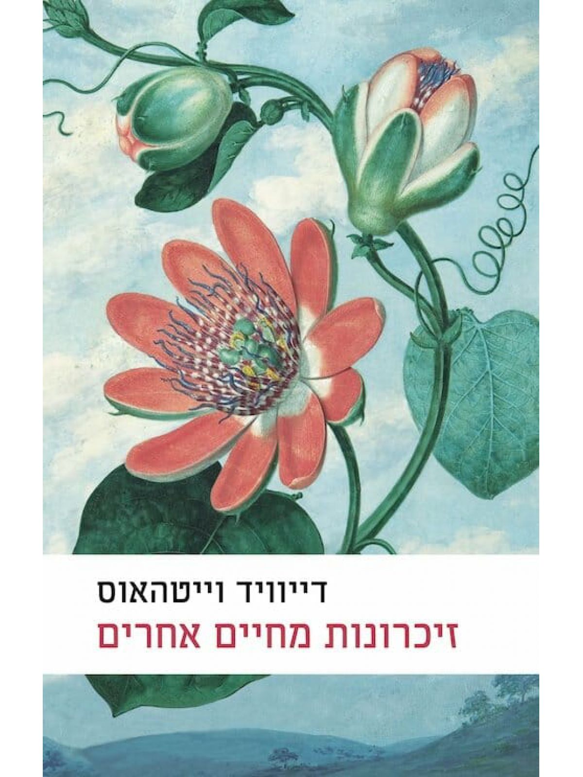 זיכרונות מחיים אחרים