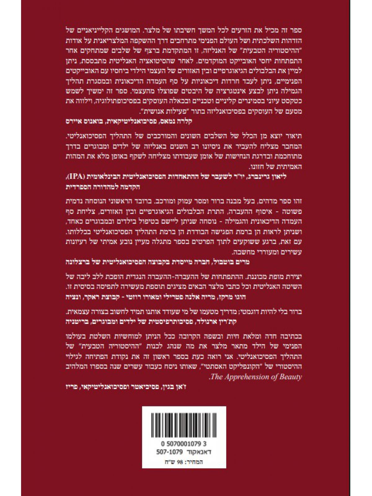 התהליך הפסיכואנליטי