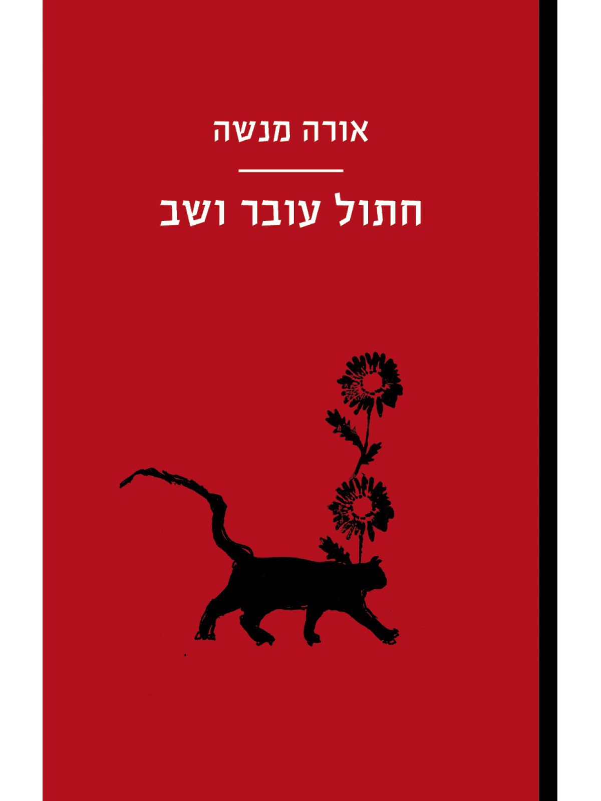 חתול עובר ושב