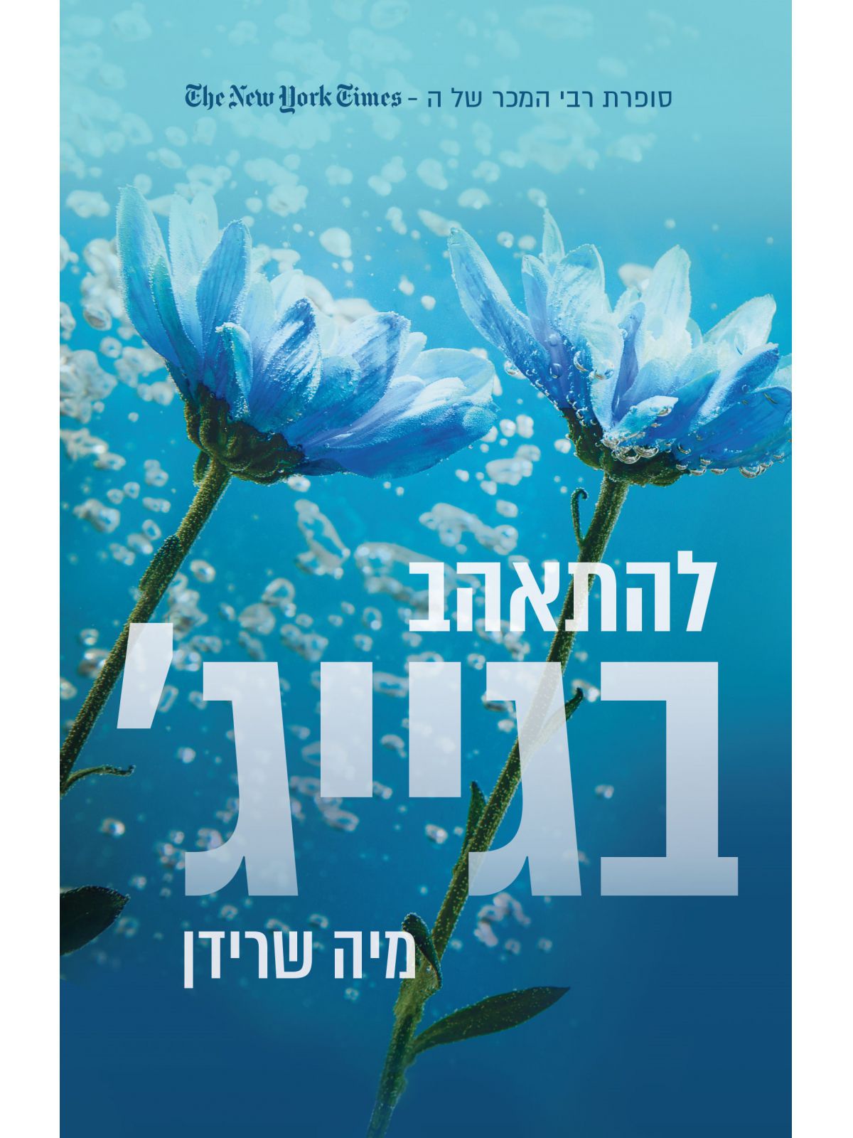 להתאהב בגייג’