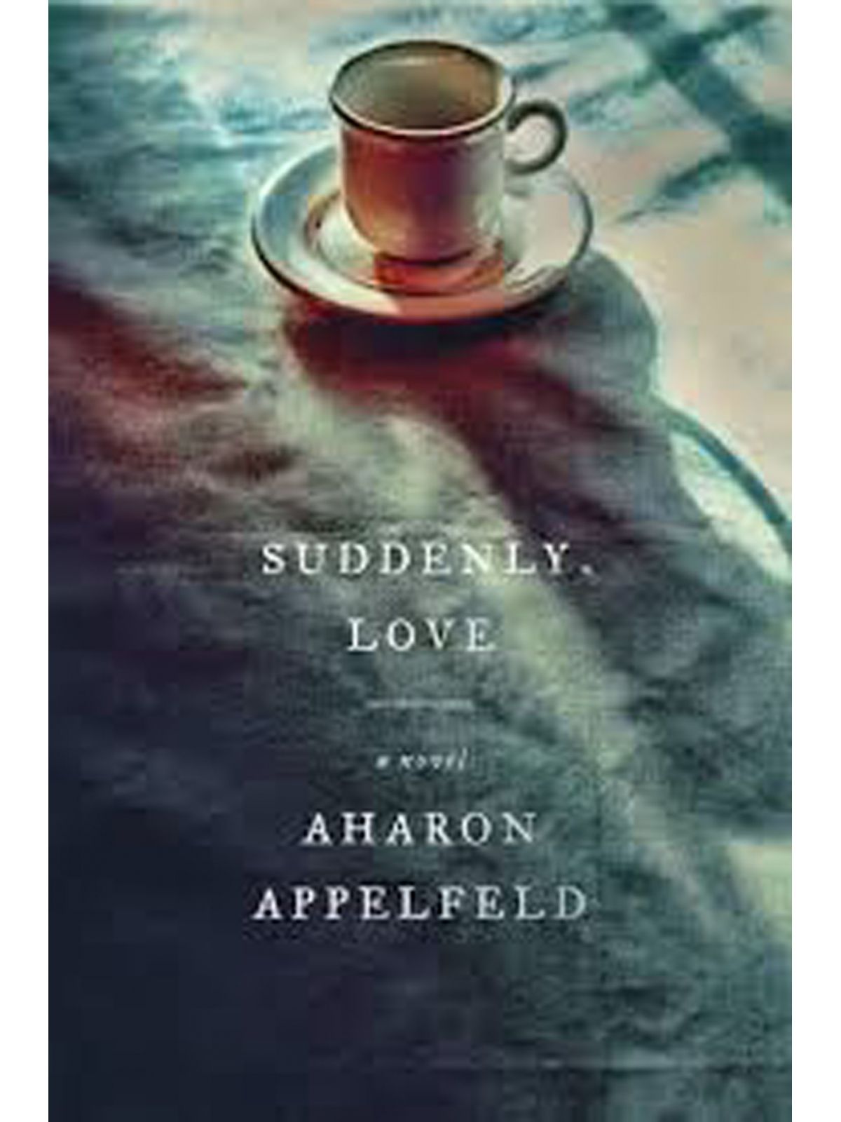 SUDDENLY  LOVE