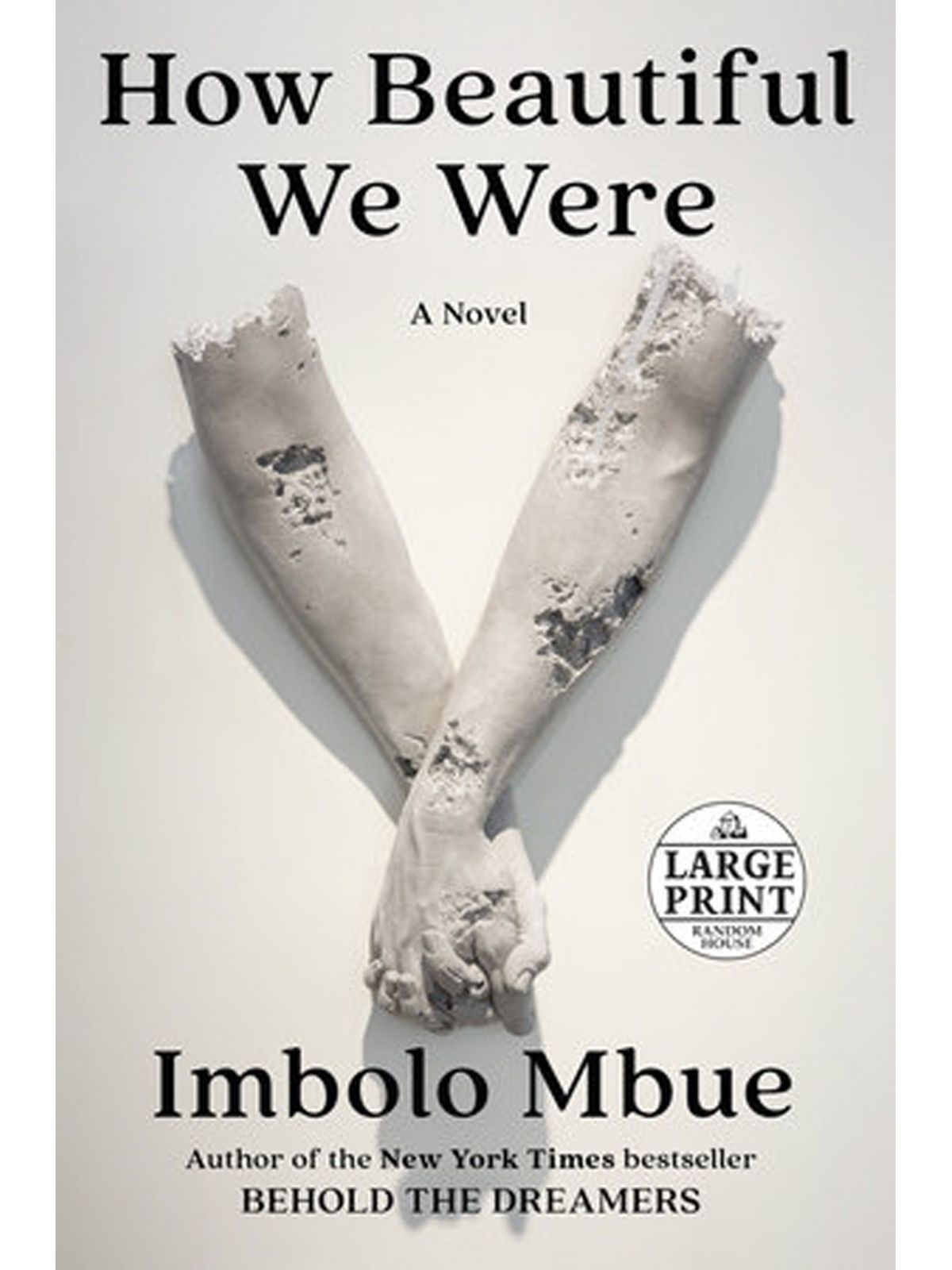 HOW BEAUTIFUL WE WERE