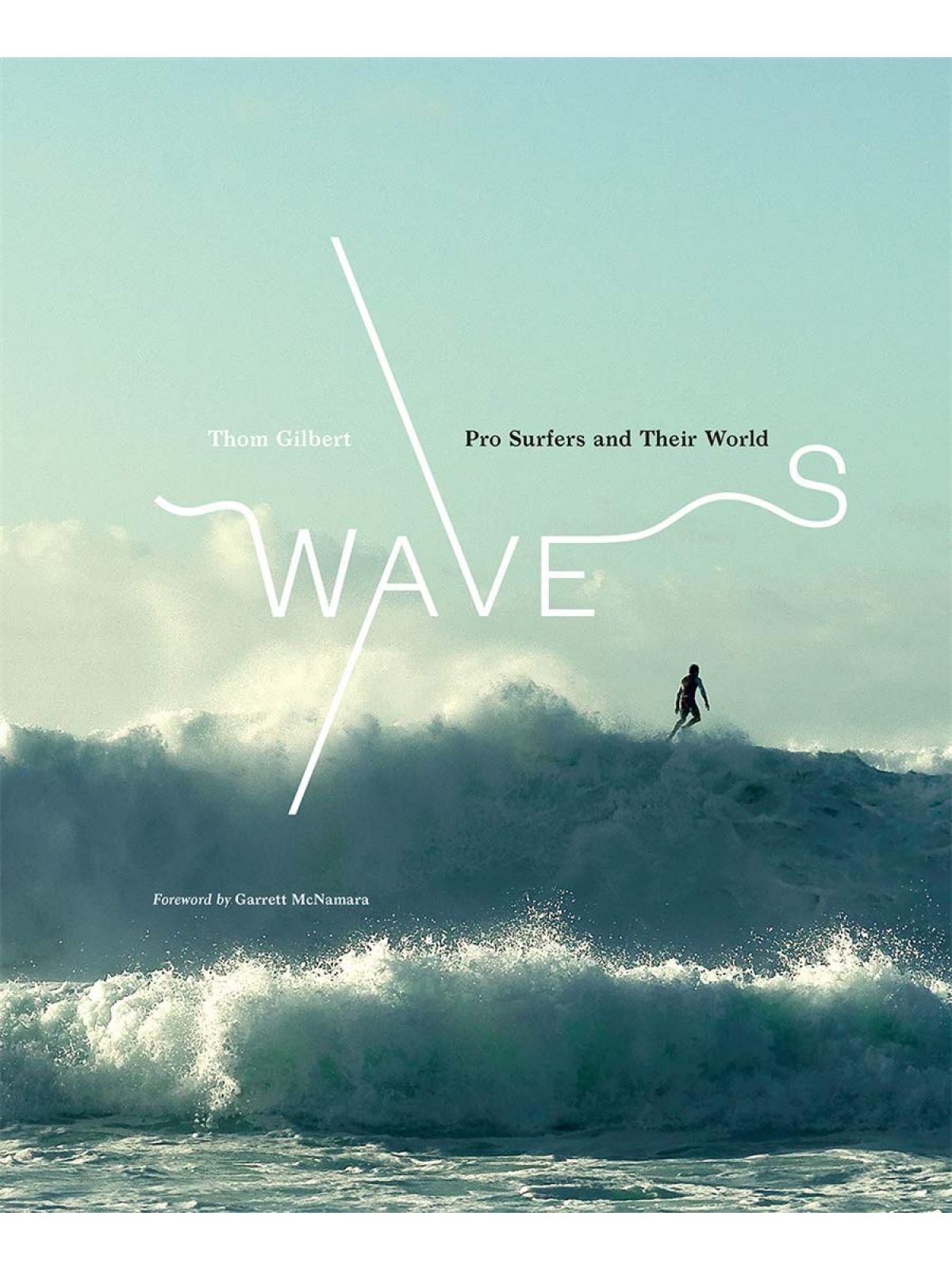 WAVES PRO SURFERS AND THEIR WORLD