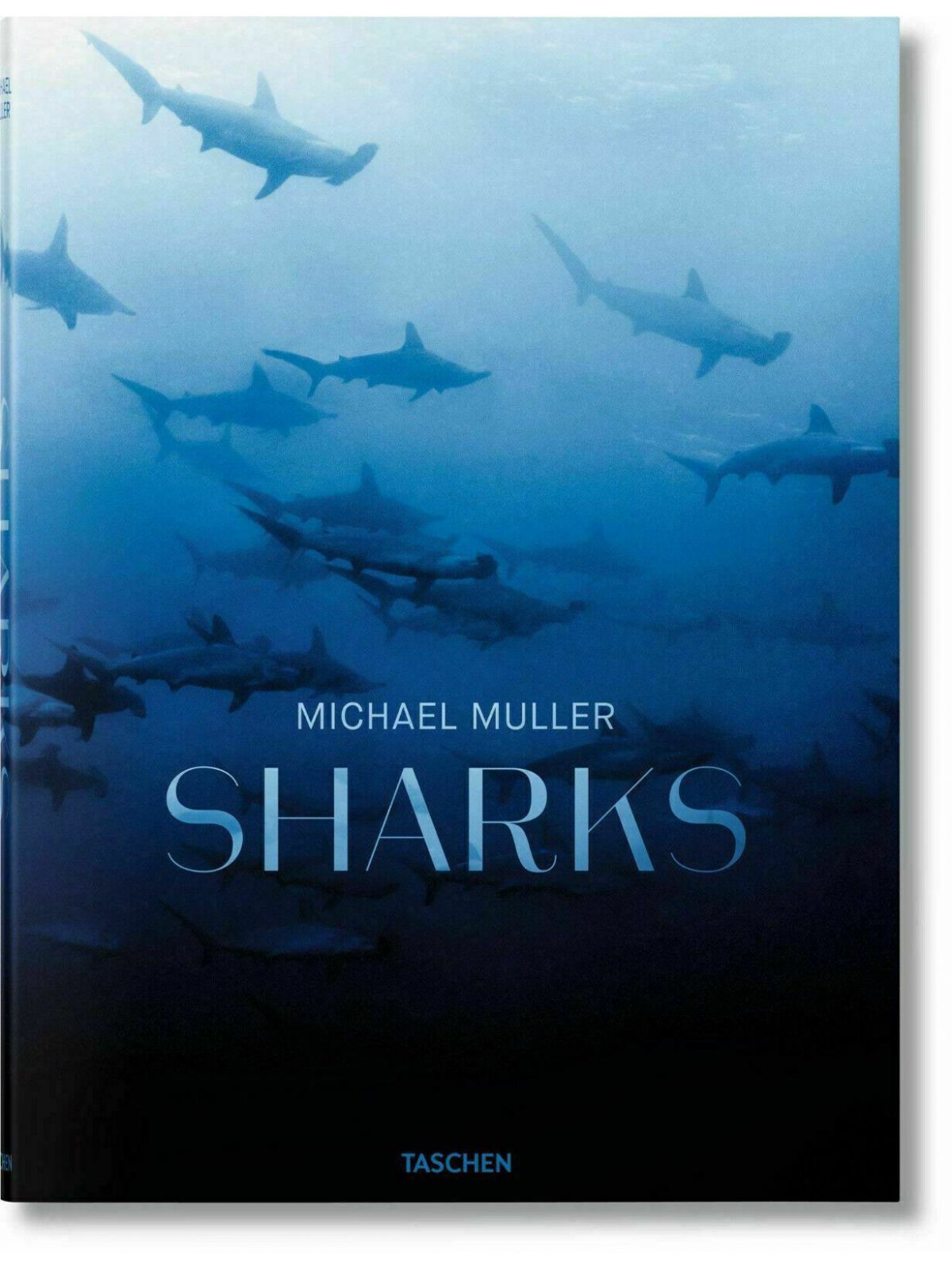 SHARKS