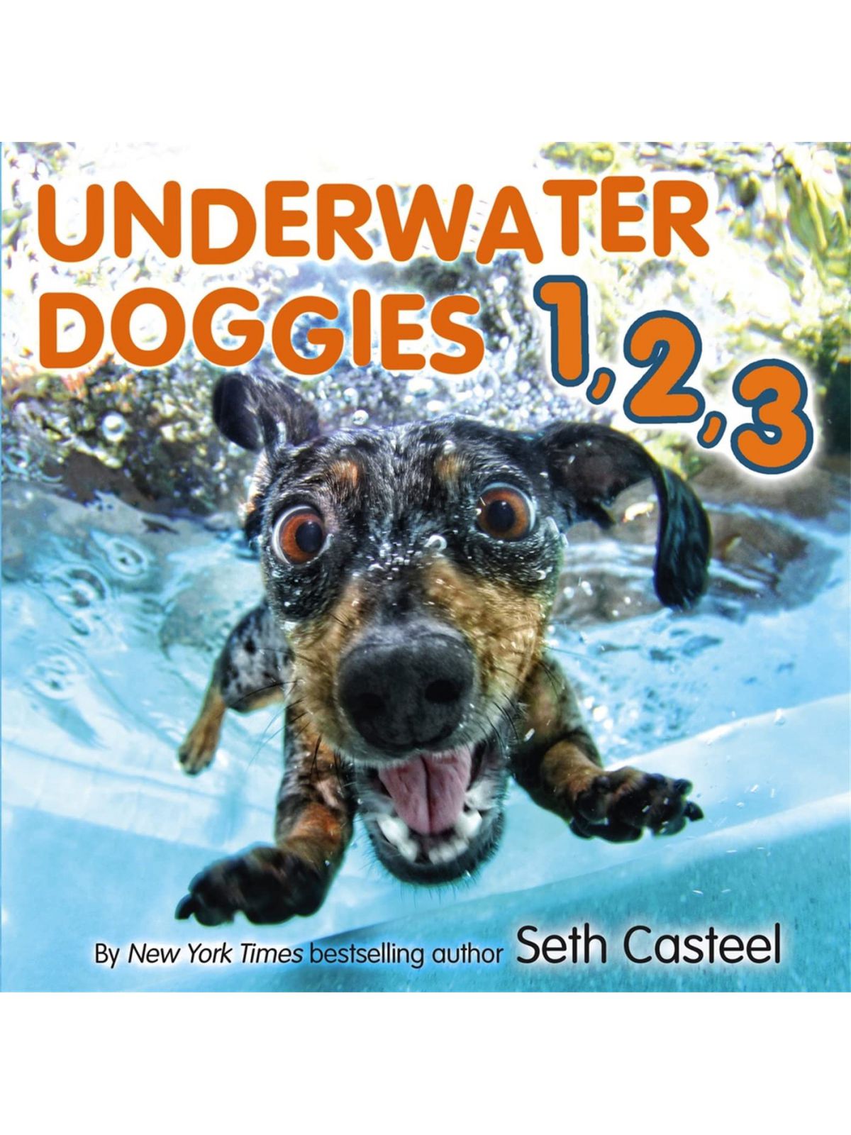 UNDERWATER DOGGIES 1 2 3