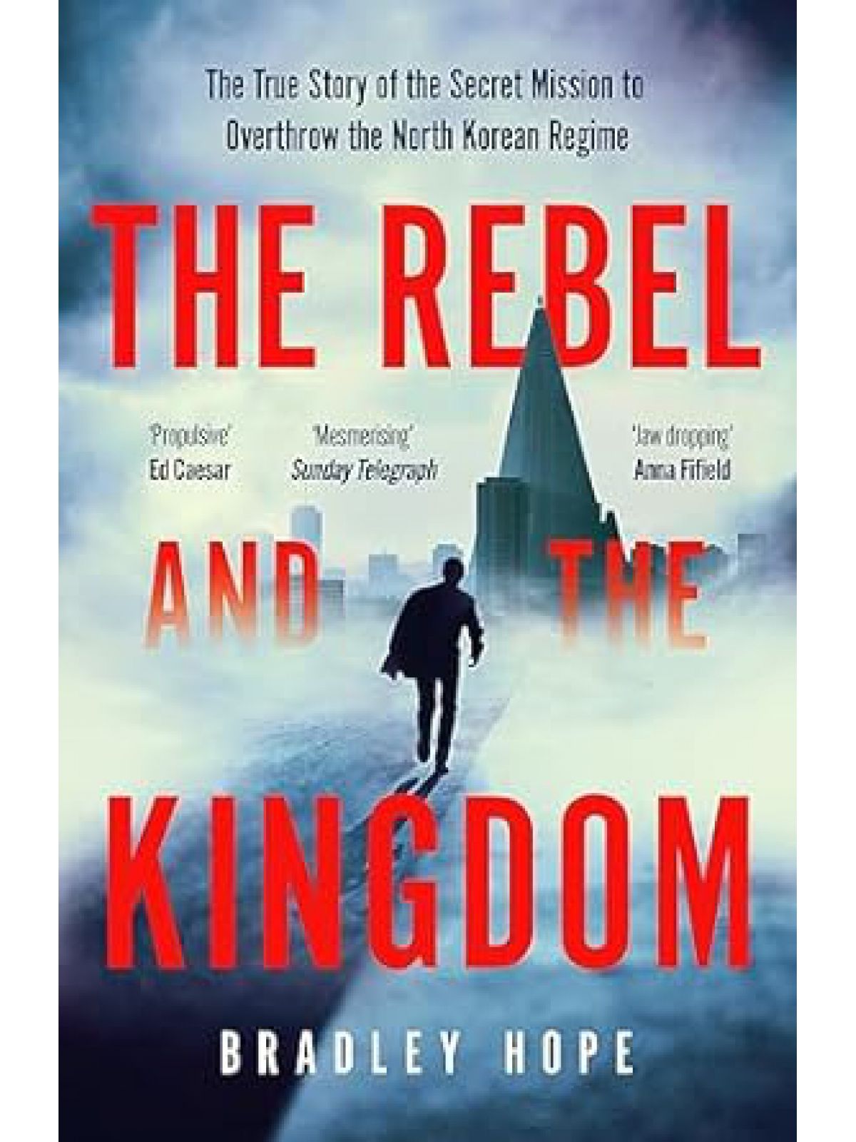 REBEL AND THE KINGDOM