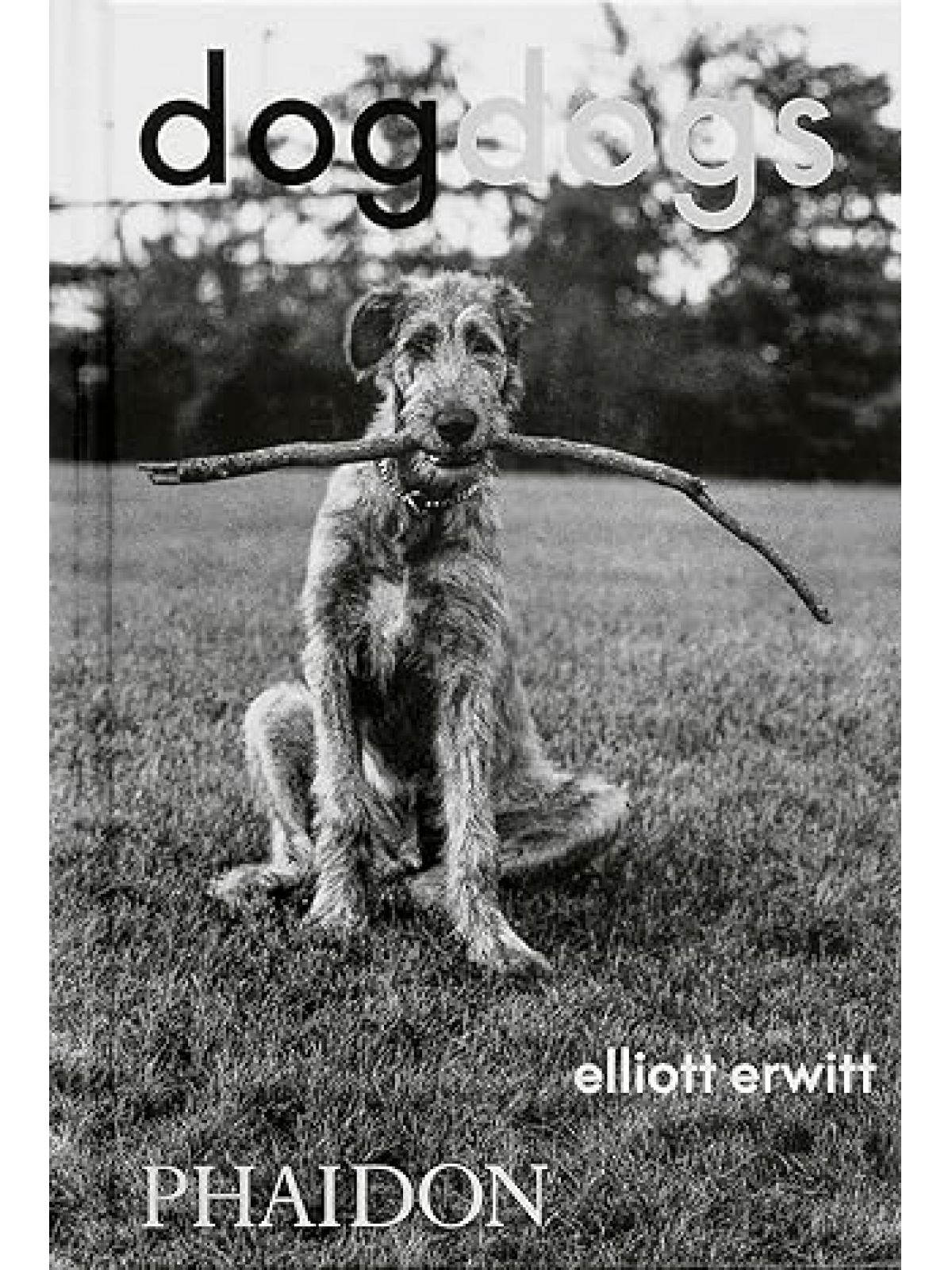 DOG DOGS ELLIOTT ERWITT