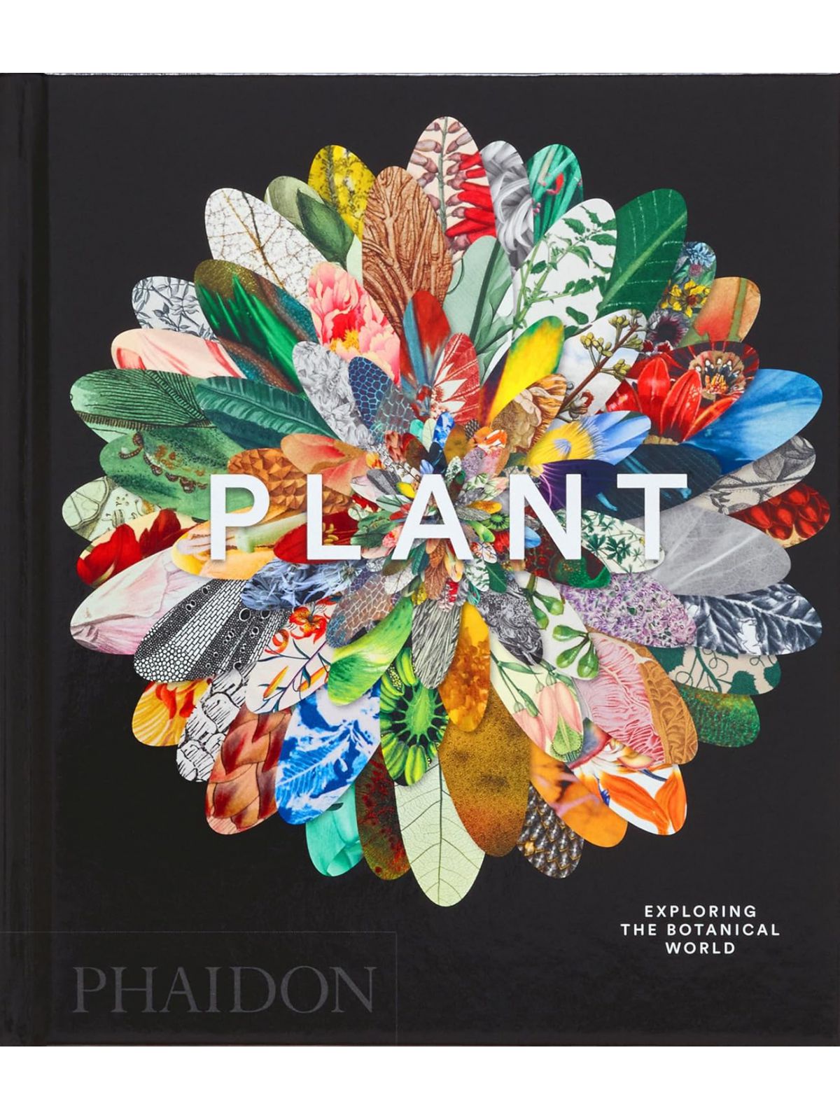 PLANT MINI