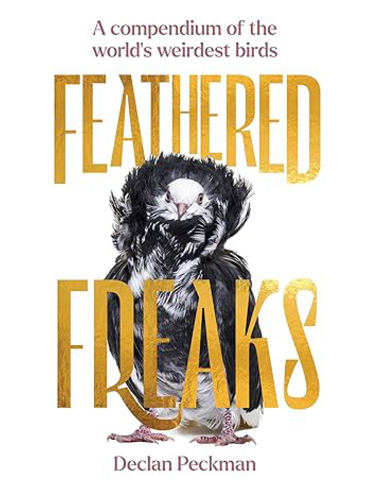 FEATHERED FREAKS