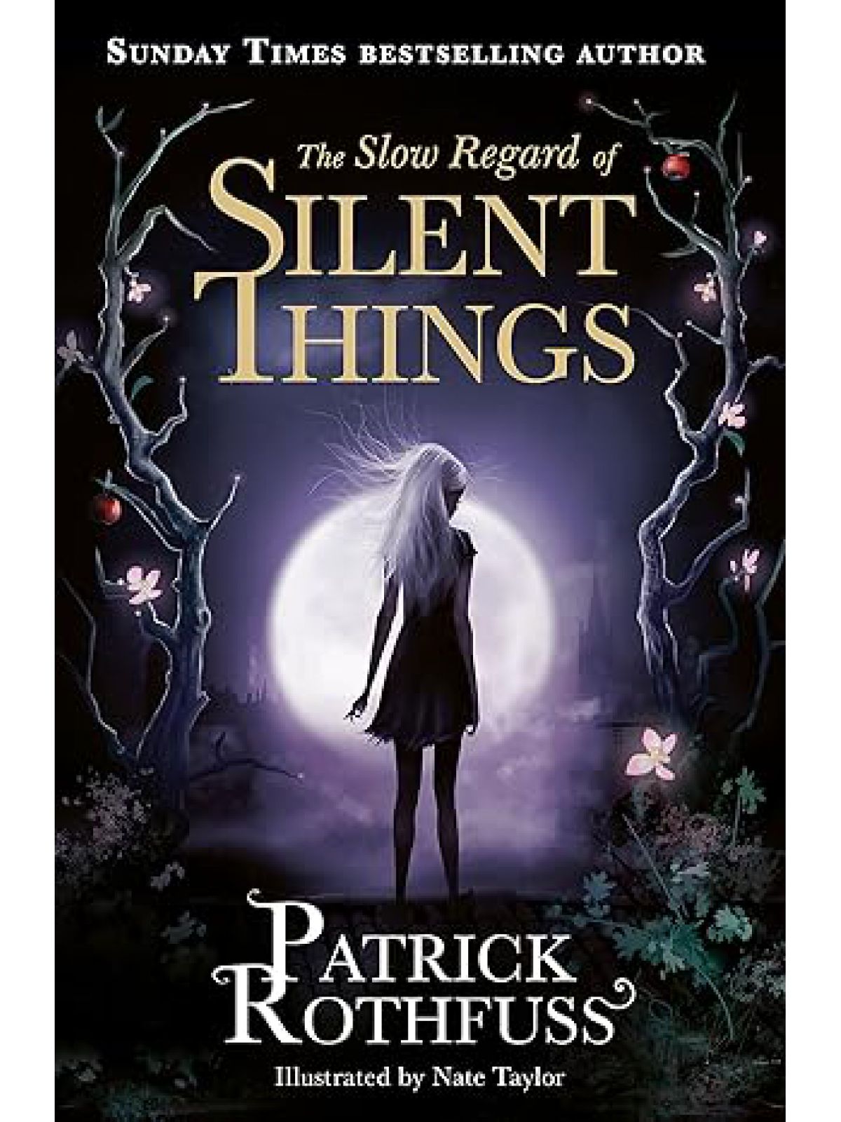 SLOW REGARD OF SILENT THINGS( KINGKILLER CHRONICLE NOVELLA