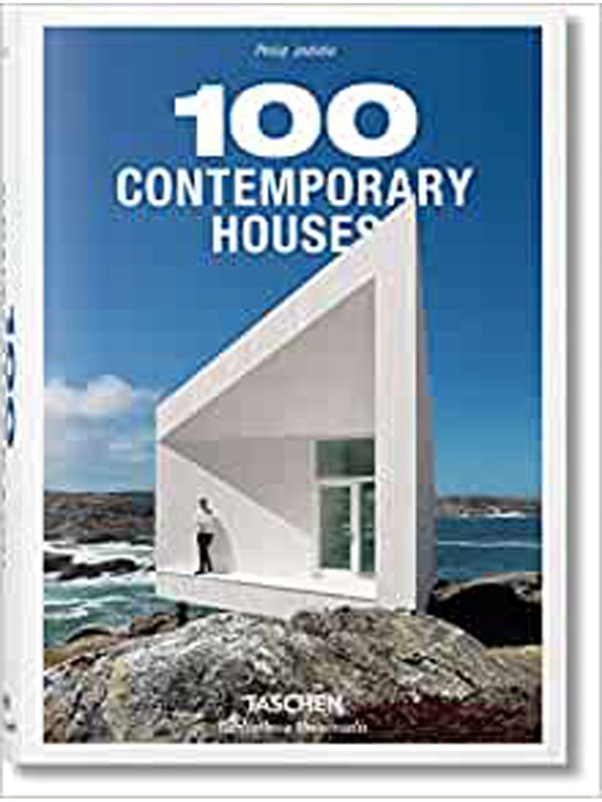 100 CONTEMPORARY HOUSES