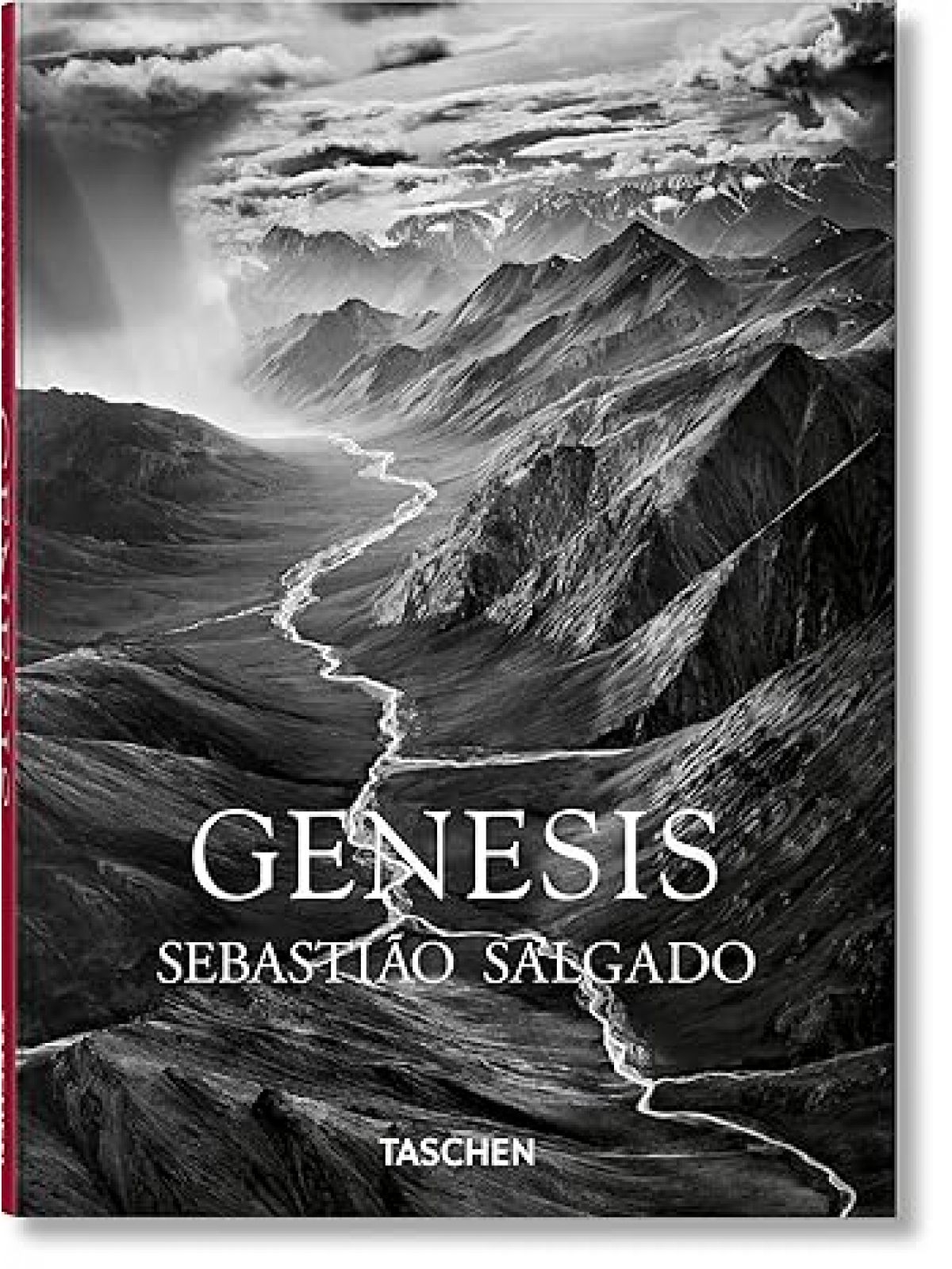 SALGADO GENESIS